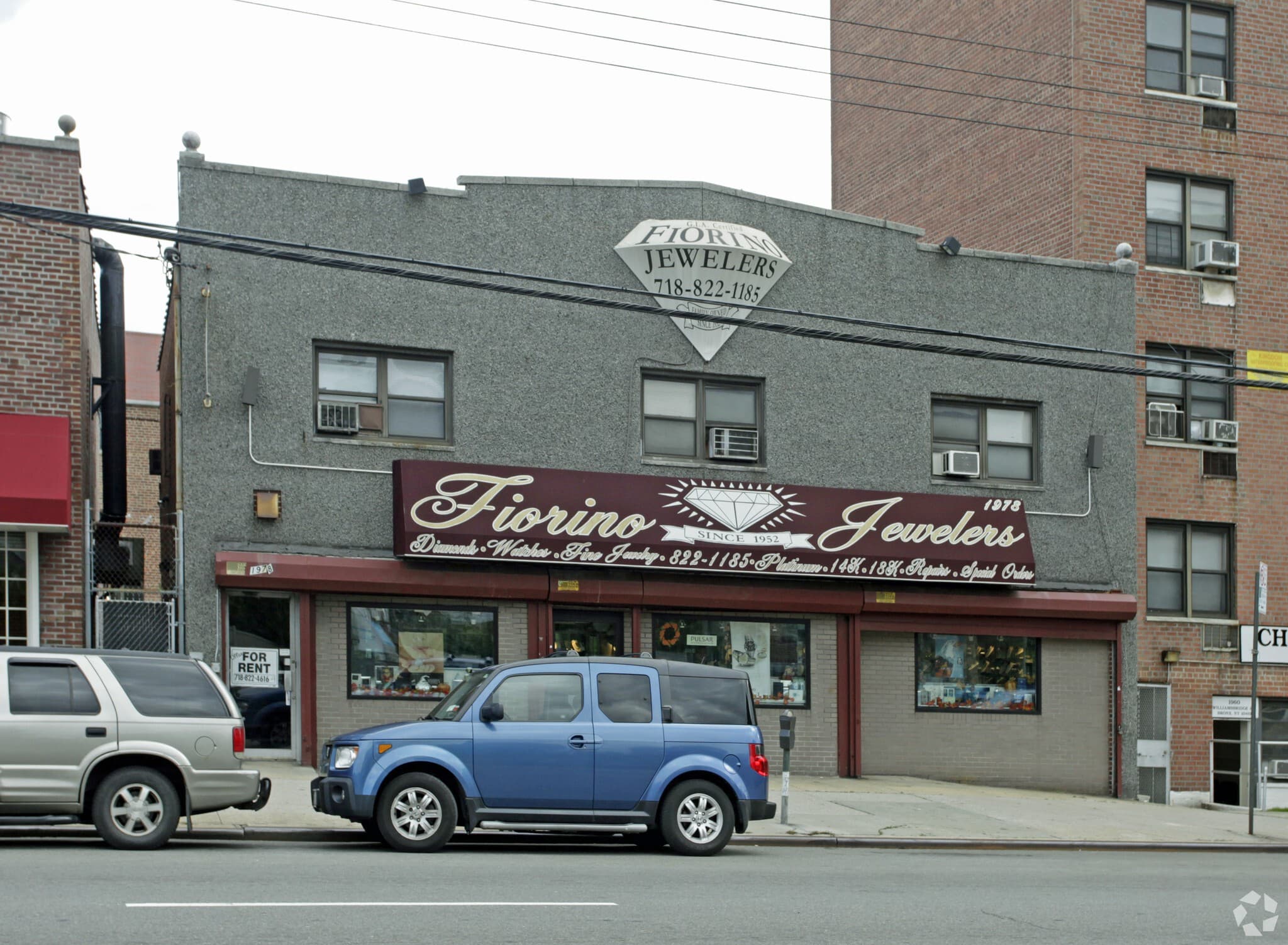 1978 Williamsbridge Rd (1st Floor) thumbnail 3