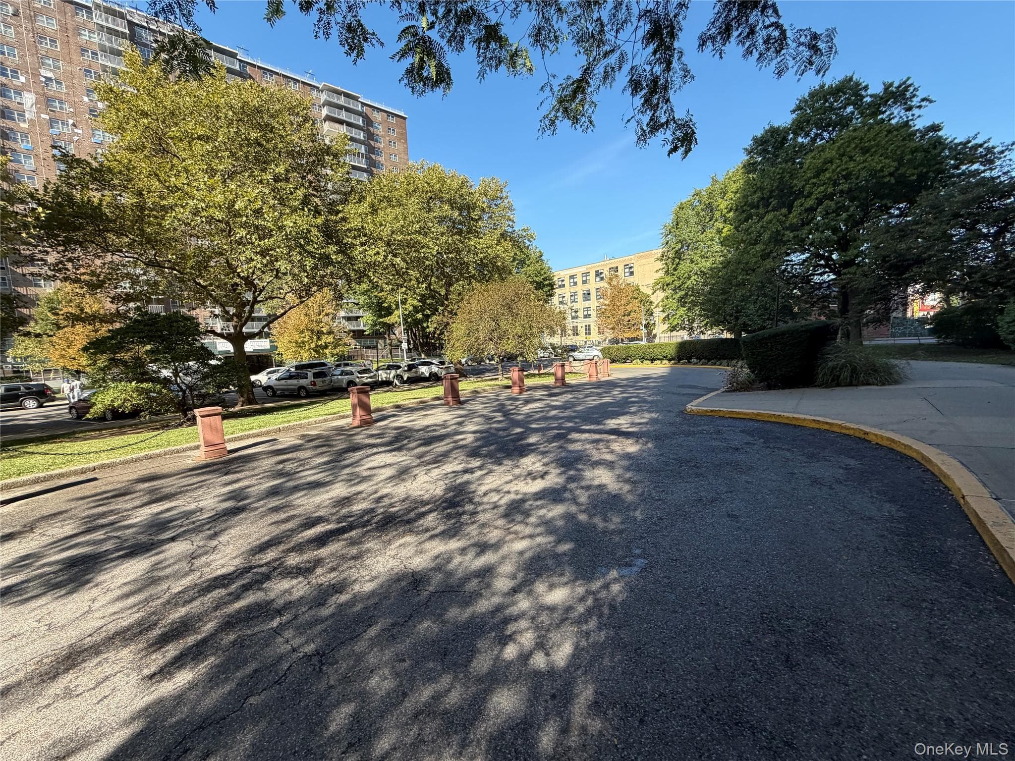 880 Boynton Avenue Unit: 8M thumbnail 11