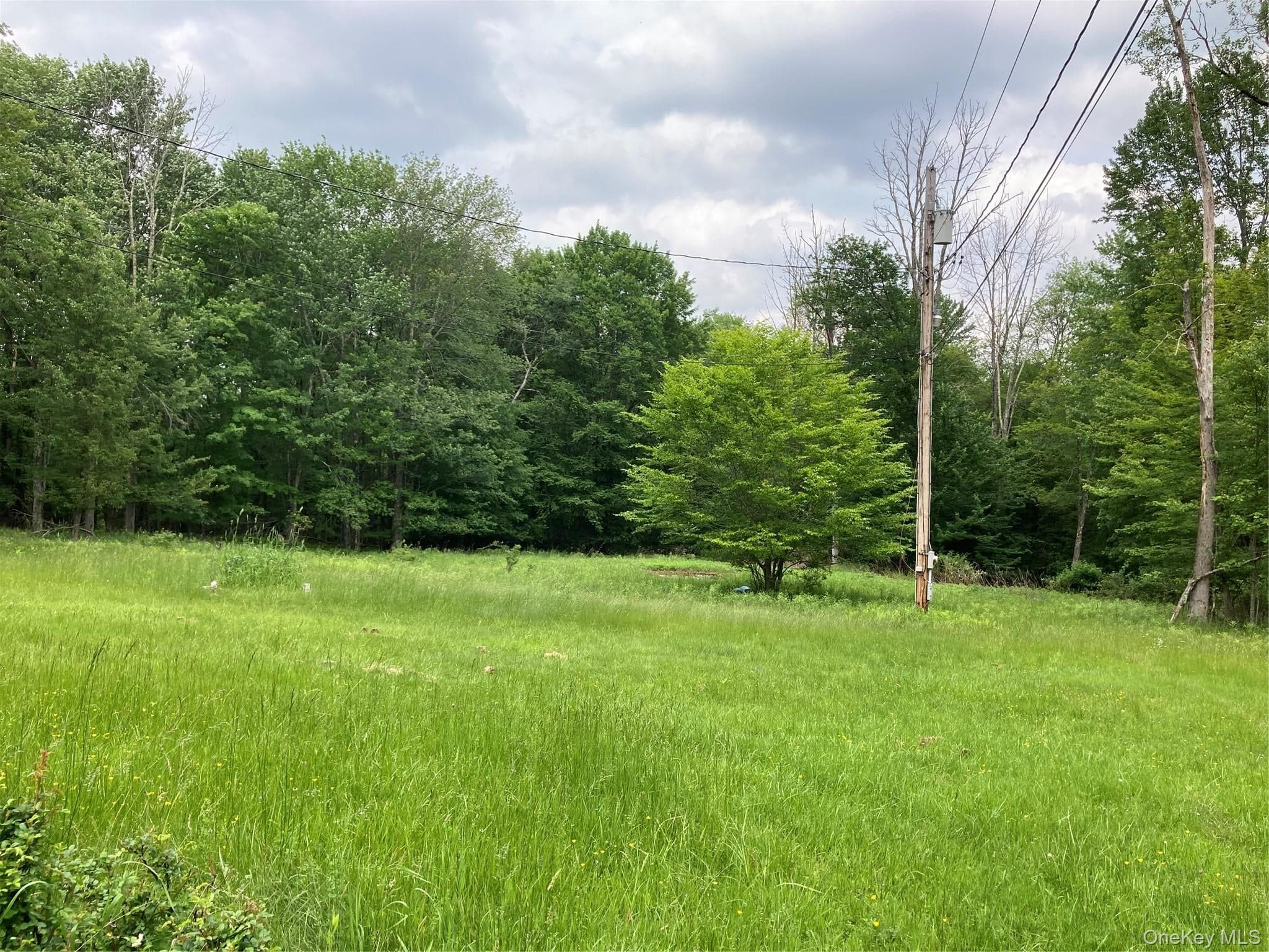 699 Budd Road thumbnail 4