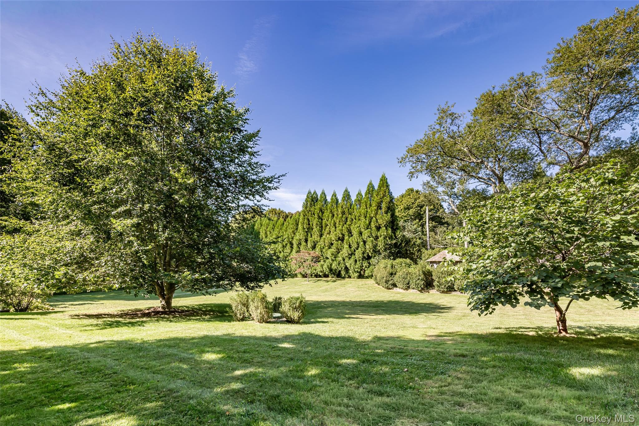 61 N Cartwright Road thumbnail 17