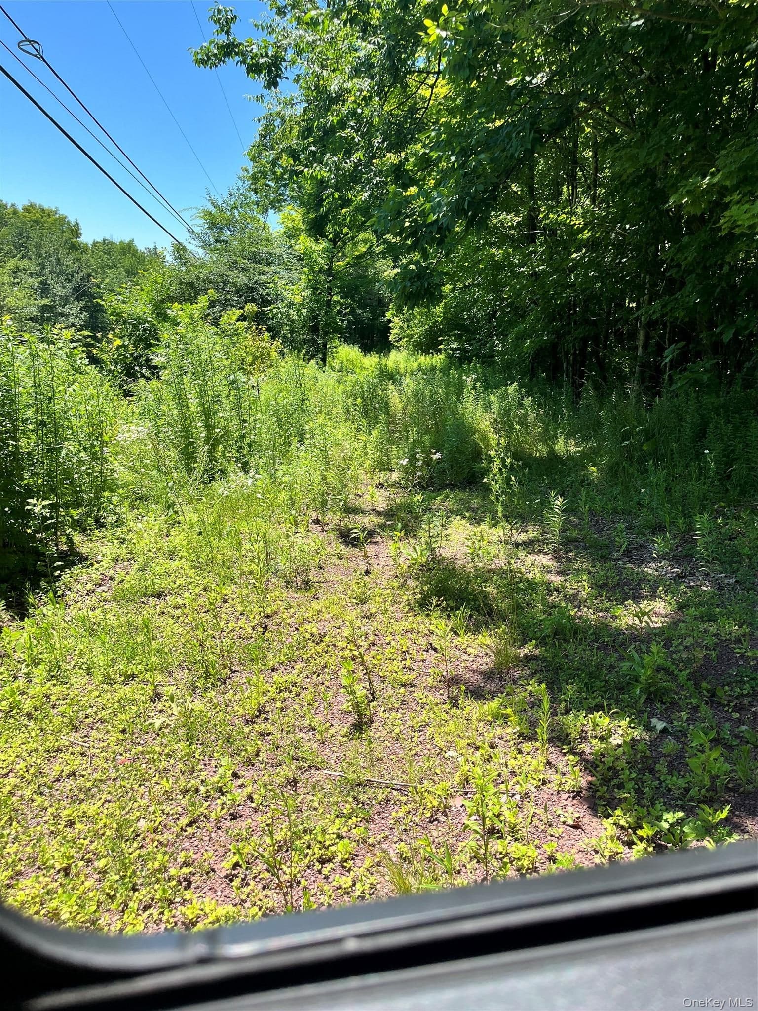 Lower Pond Dahlia Road thumbnail 24