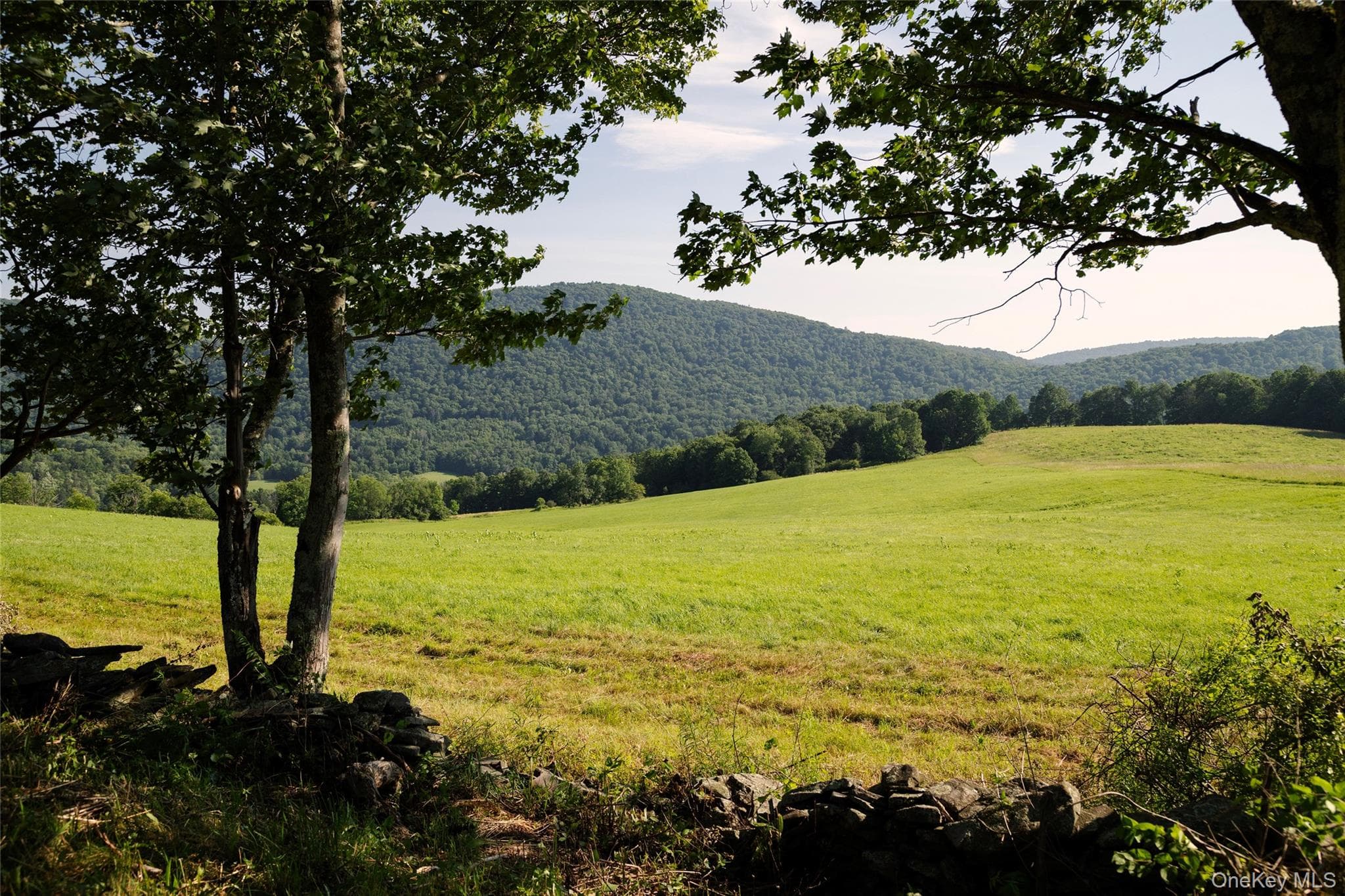 377 Reinertsen Hill Road thumbnail 2