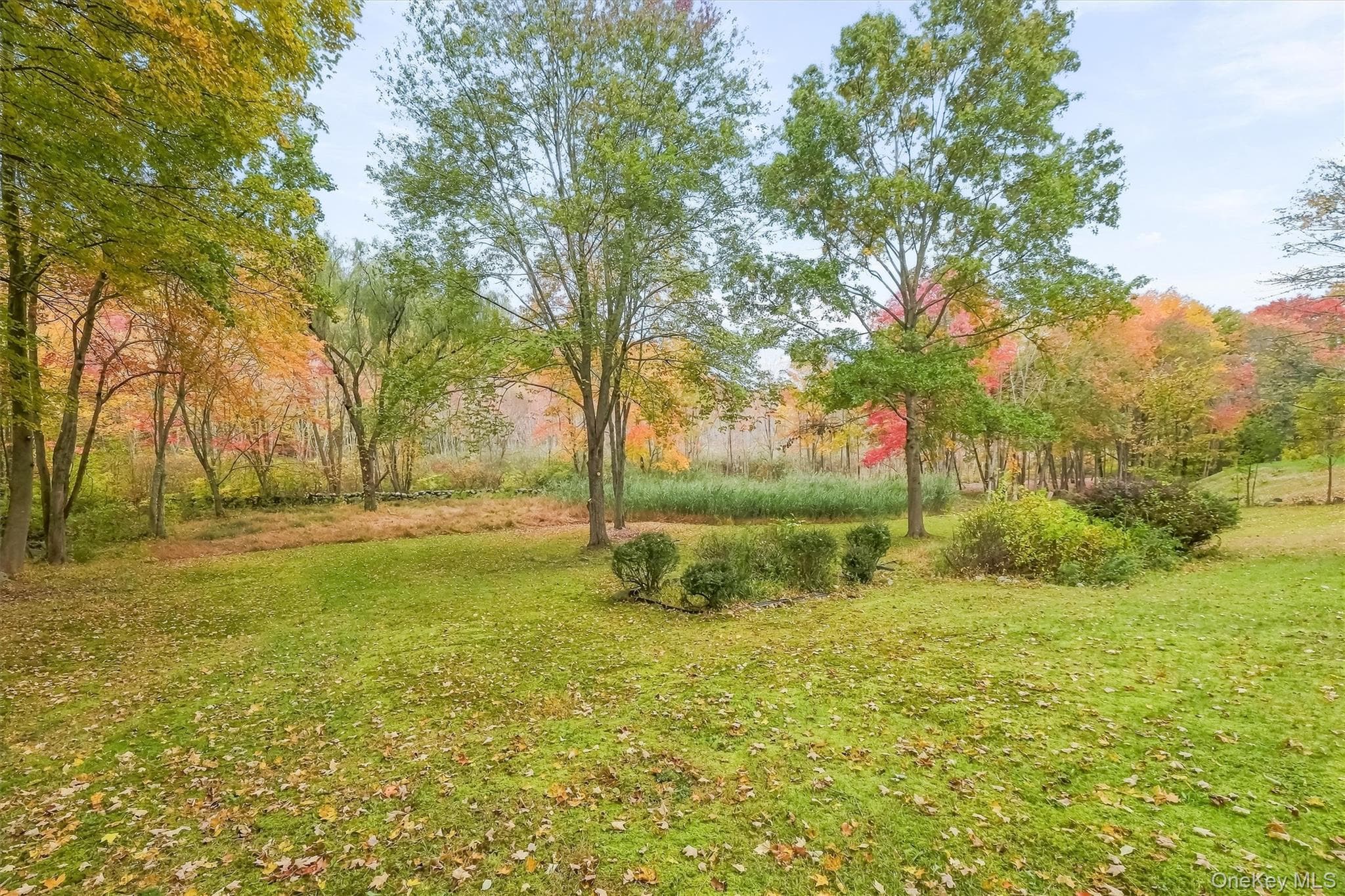 127 Croton Avenue thumbnail 33