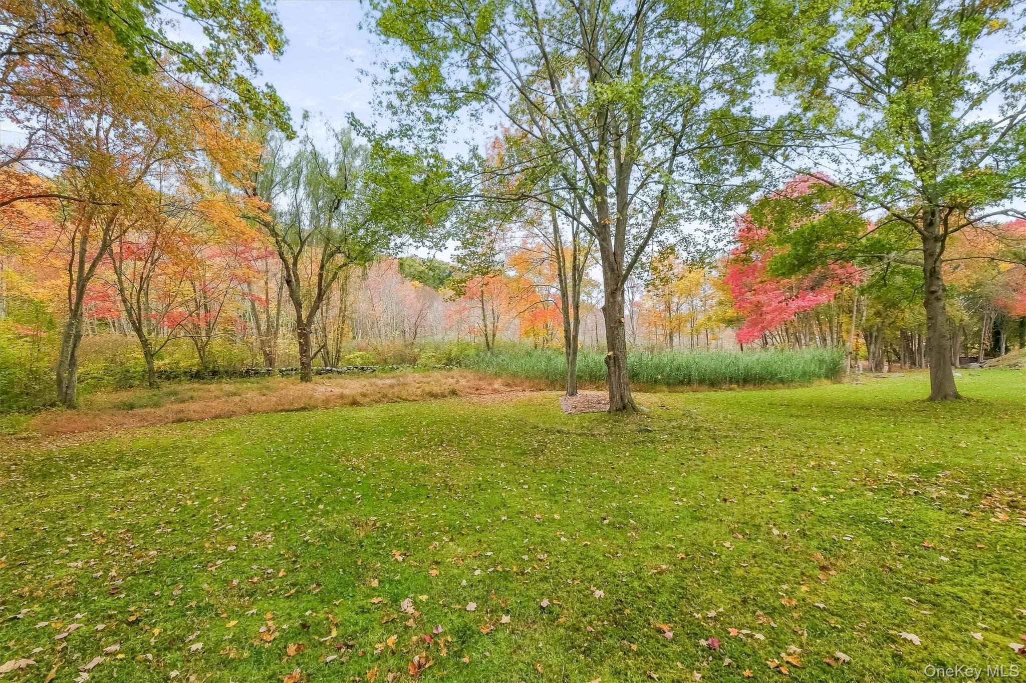 127 Croton Avenue thumbnail 34