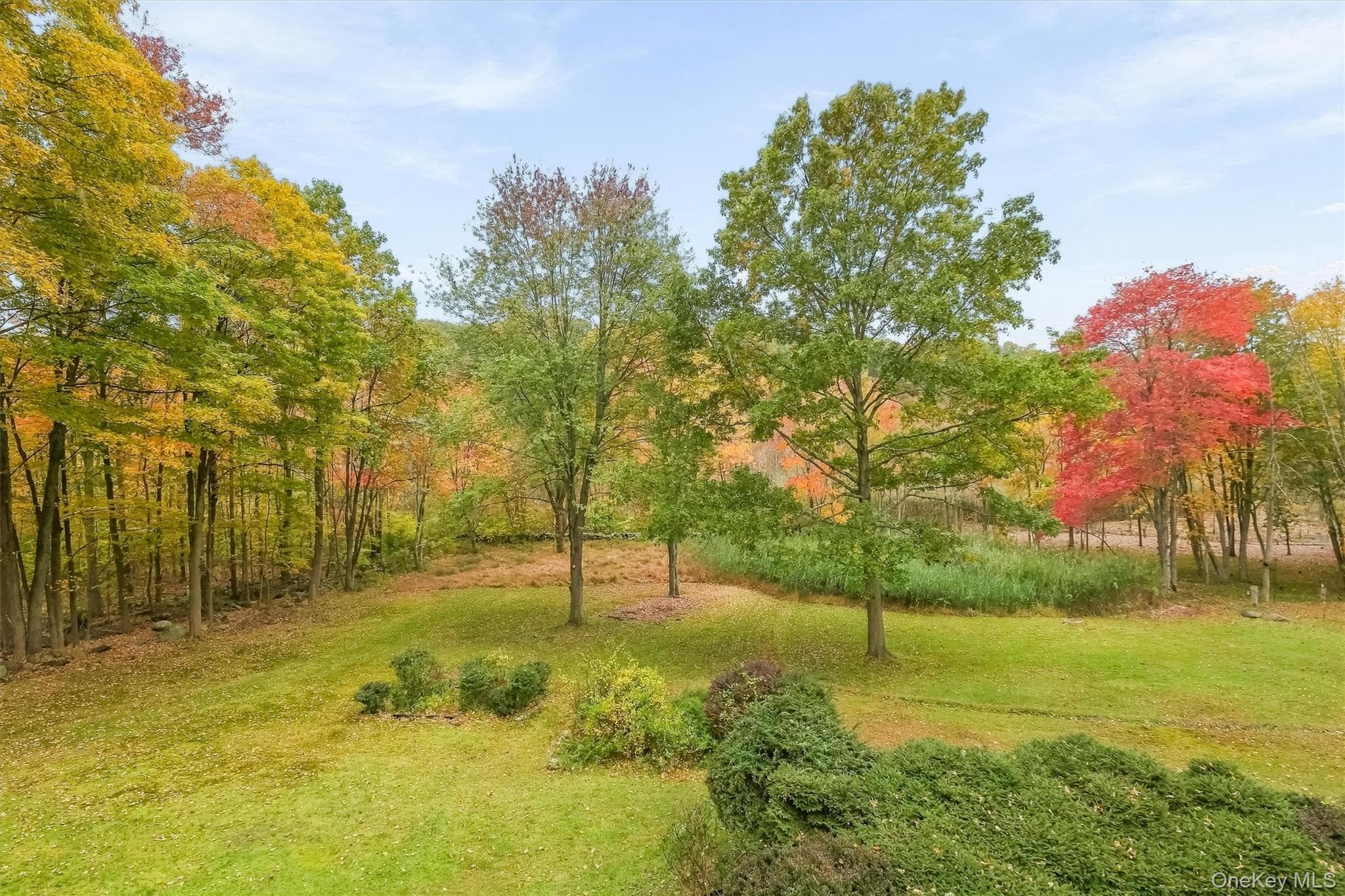 127 Croton Avenue thumbnail 30