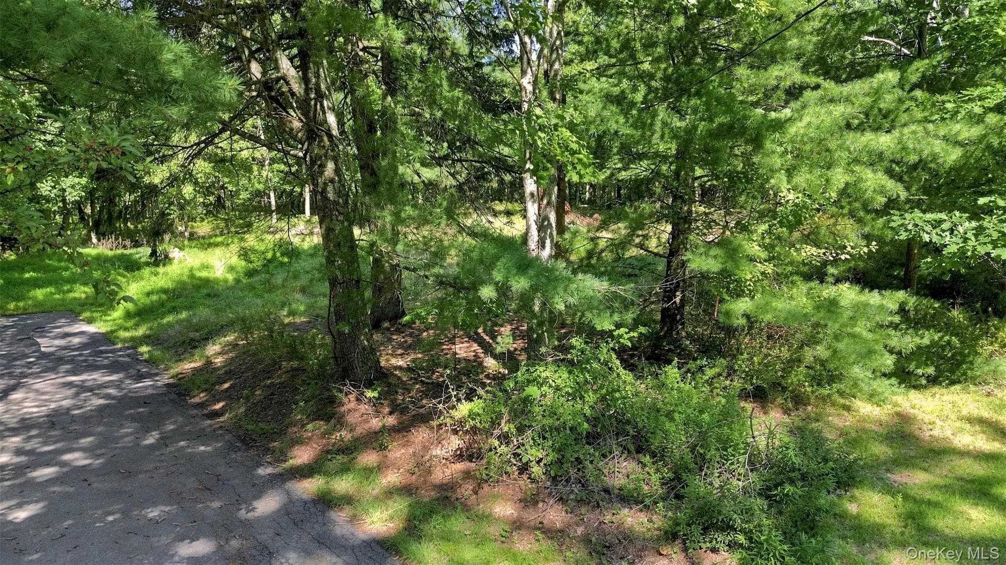 36 Spruce Street, Wurtsboro