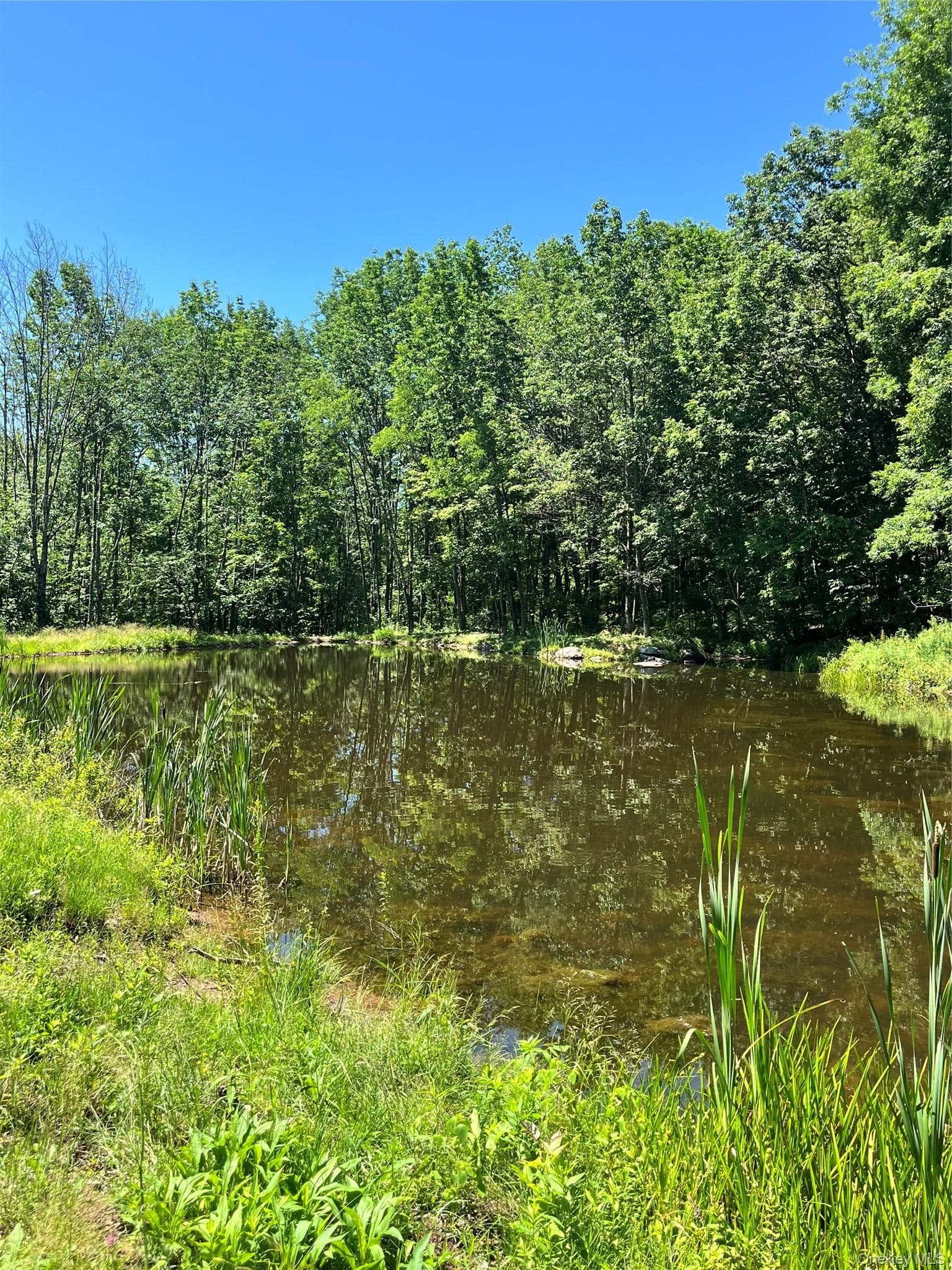 Upper Pond Dahlia Road thumbnail 7