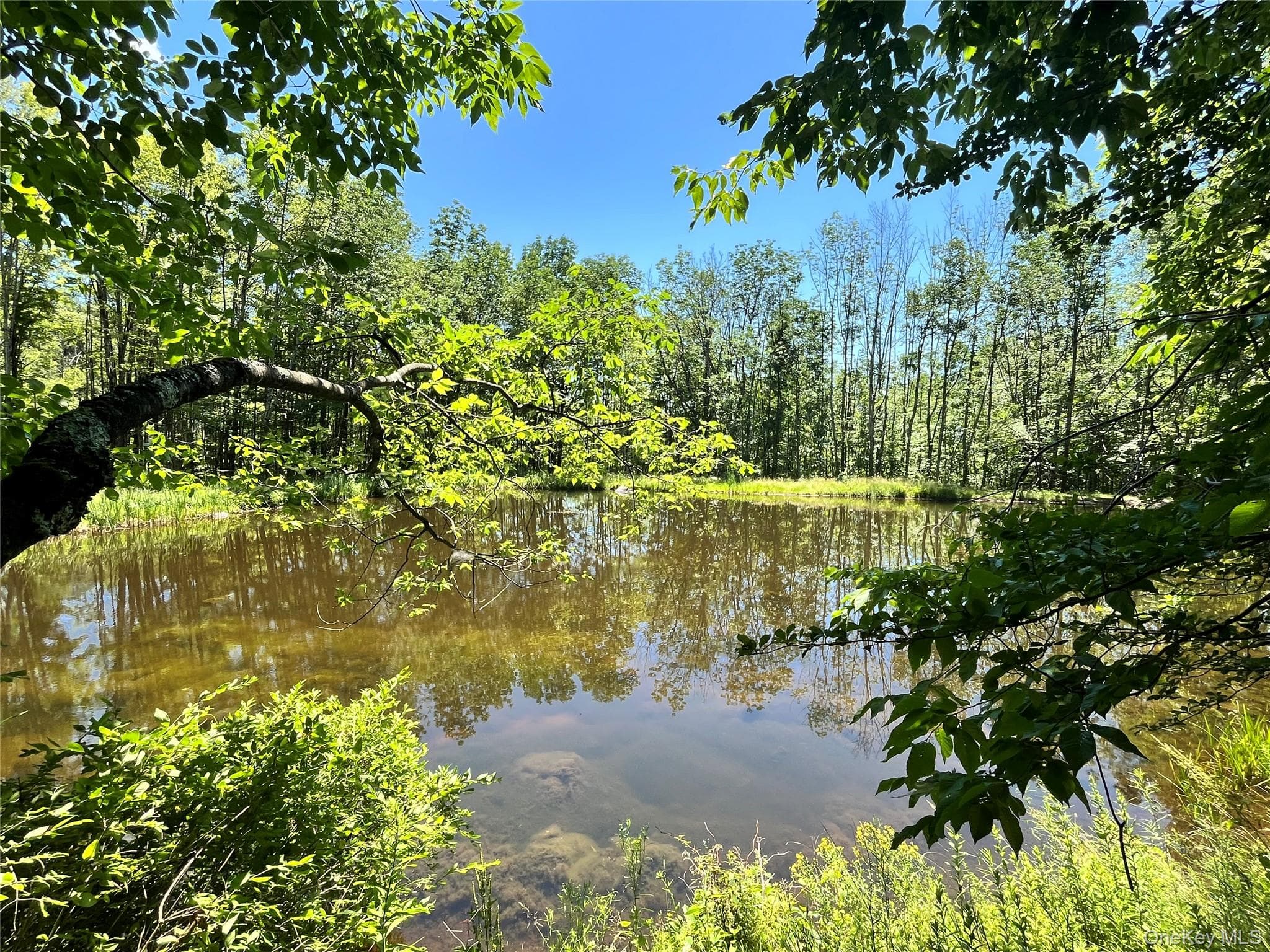 Upper Pond Dahlia Road thumbnail 2