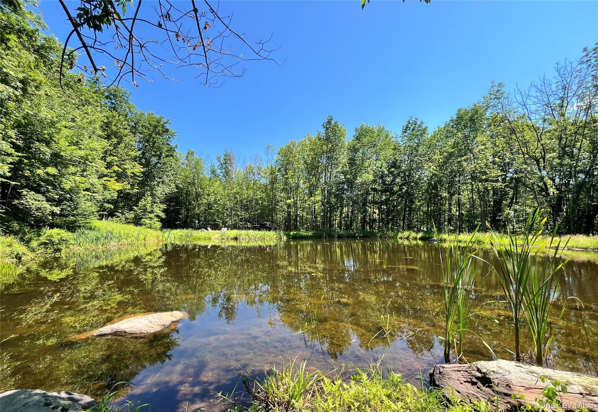 Upper Pond Dahlia Road thumbnail 12