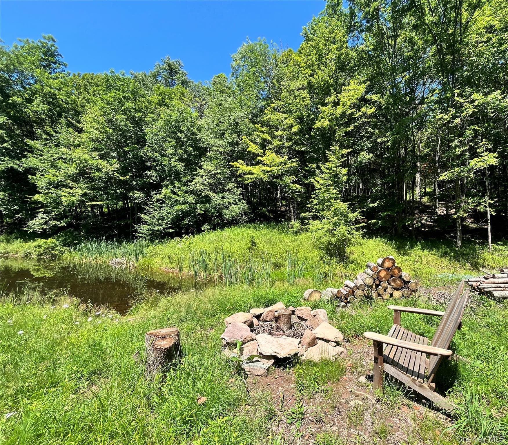 Upper Pond Dahlia Road thumbnail 10
