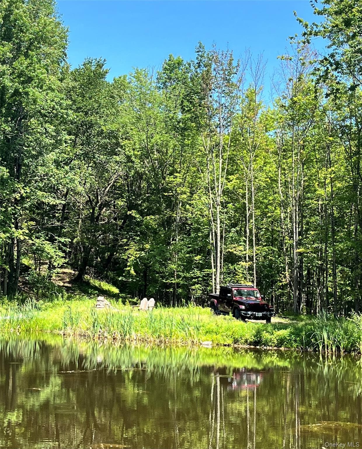 Upper Pond Dahlia Road thumbnail 26