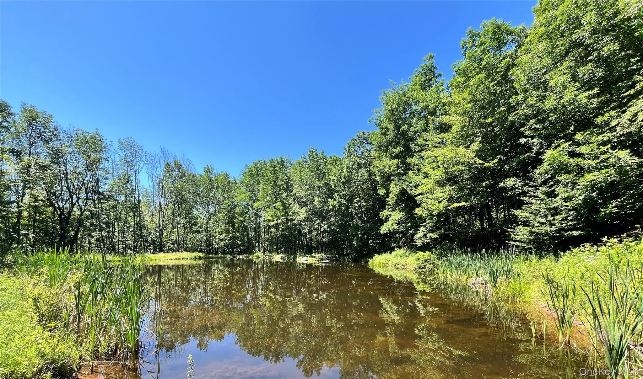 Upper Pond Dahlia Road thumbnail 8