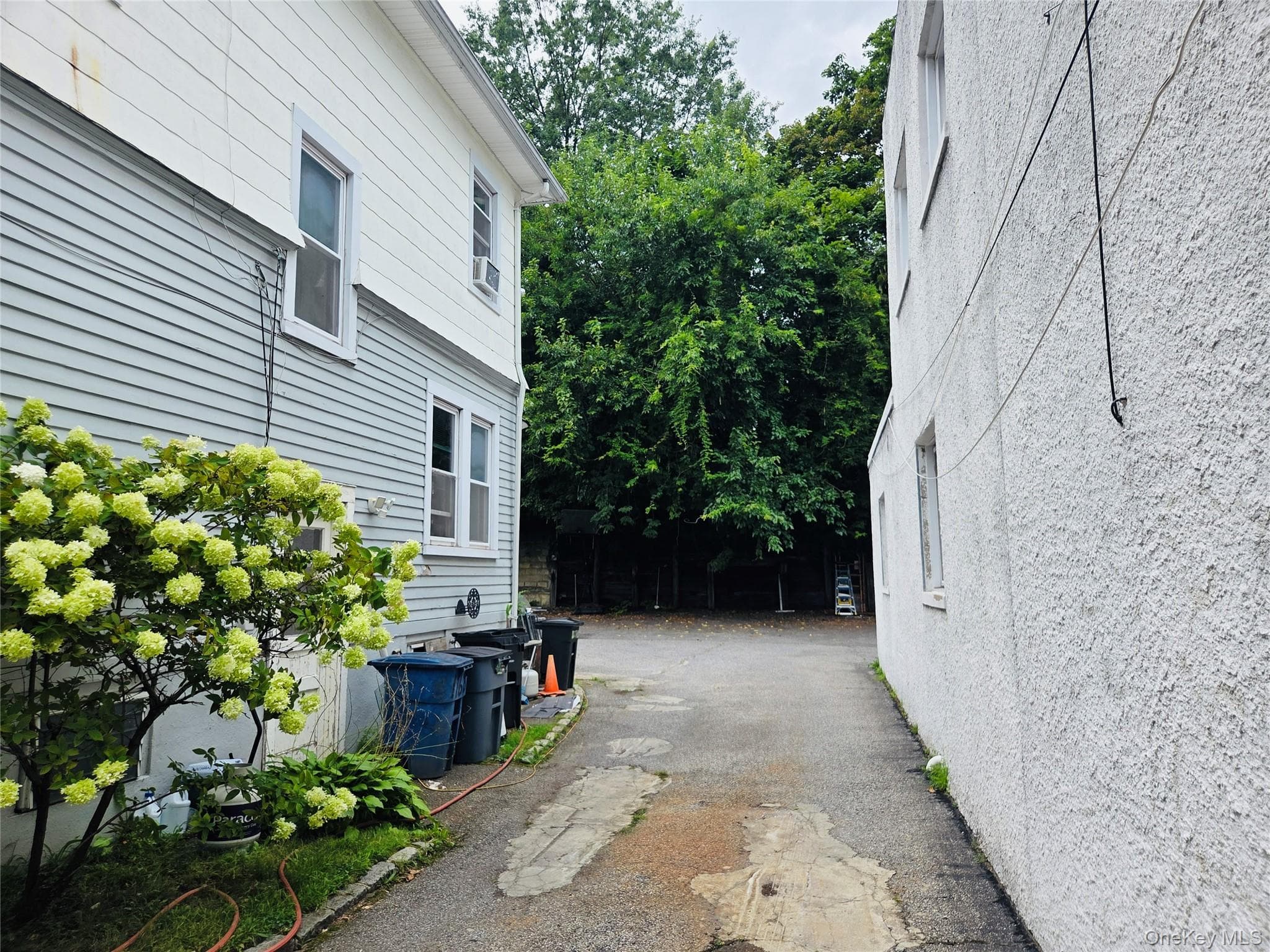 1168-1170 Port Washington Boulevard Unit: 1168-1170 thumbnail 4