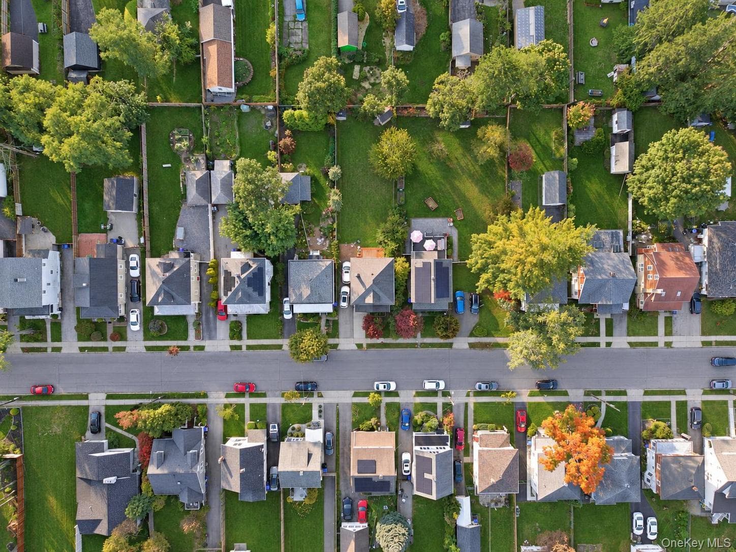 26 Oakwood Boulevard thumbnail 37