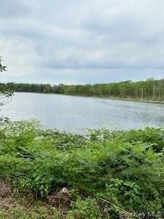 Gardner Drive, Port Jervis