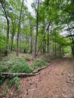 Gardner Drive thumbnail 6