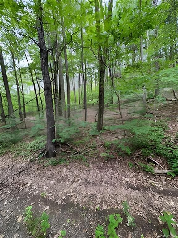 Gardner Drive thumbnail 3