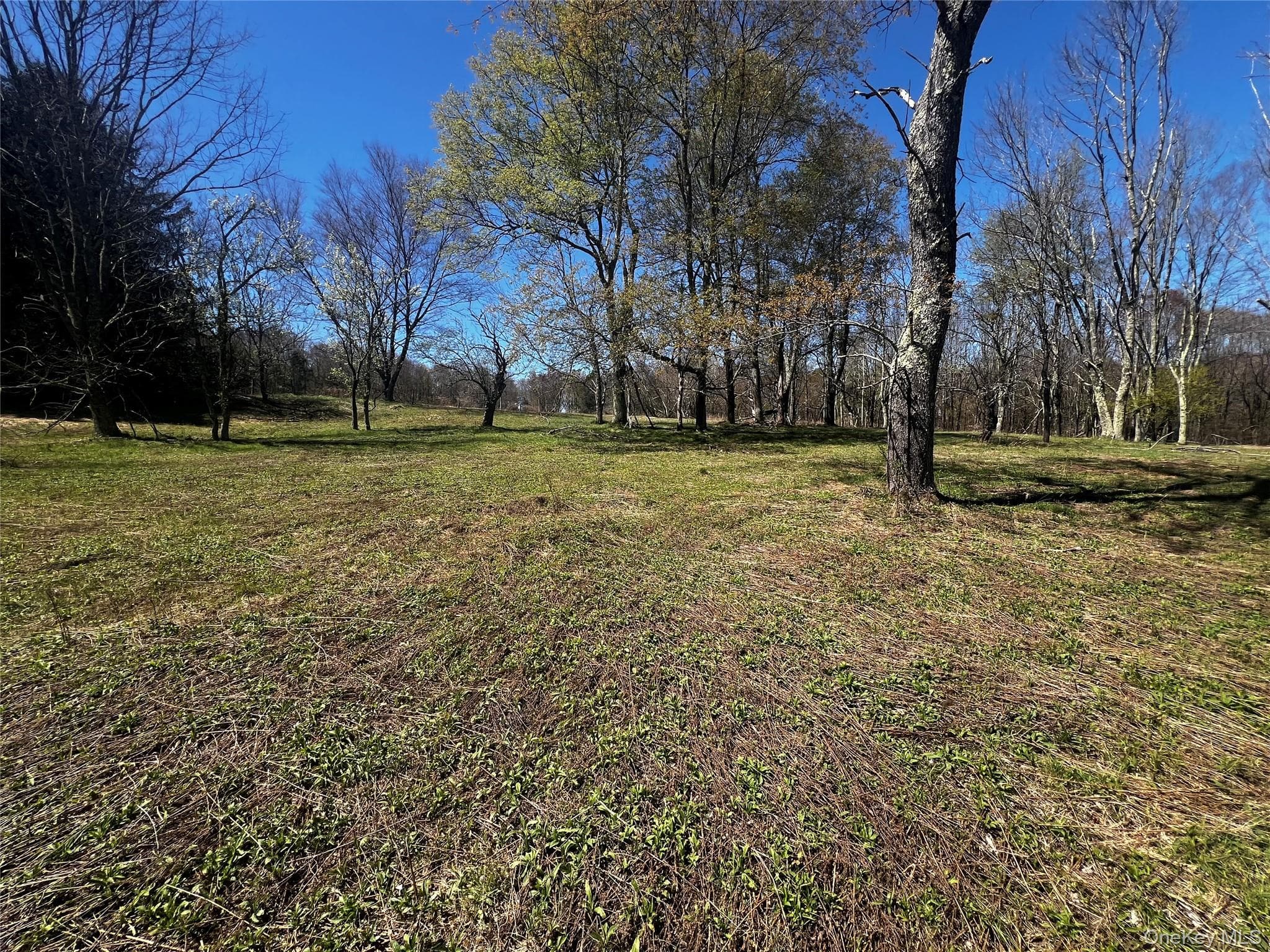 93 Cal Stewart Road, Bethel