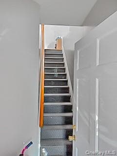 971 E 95th Street thumbnail 29