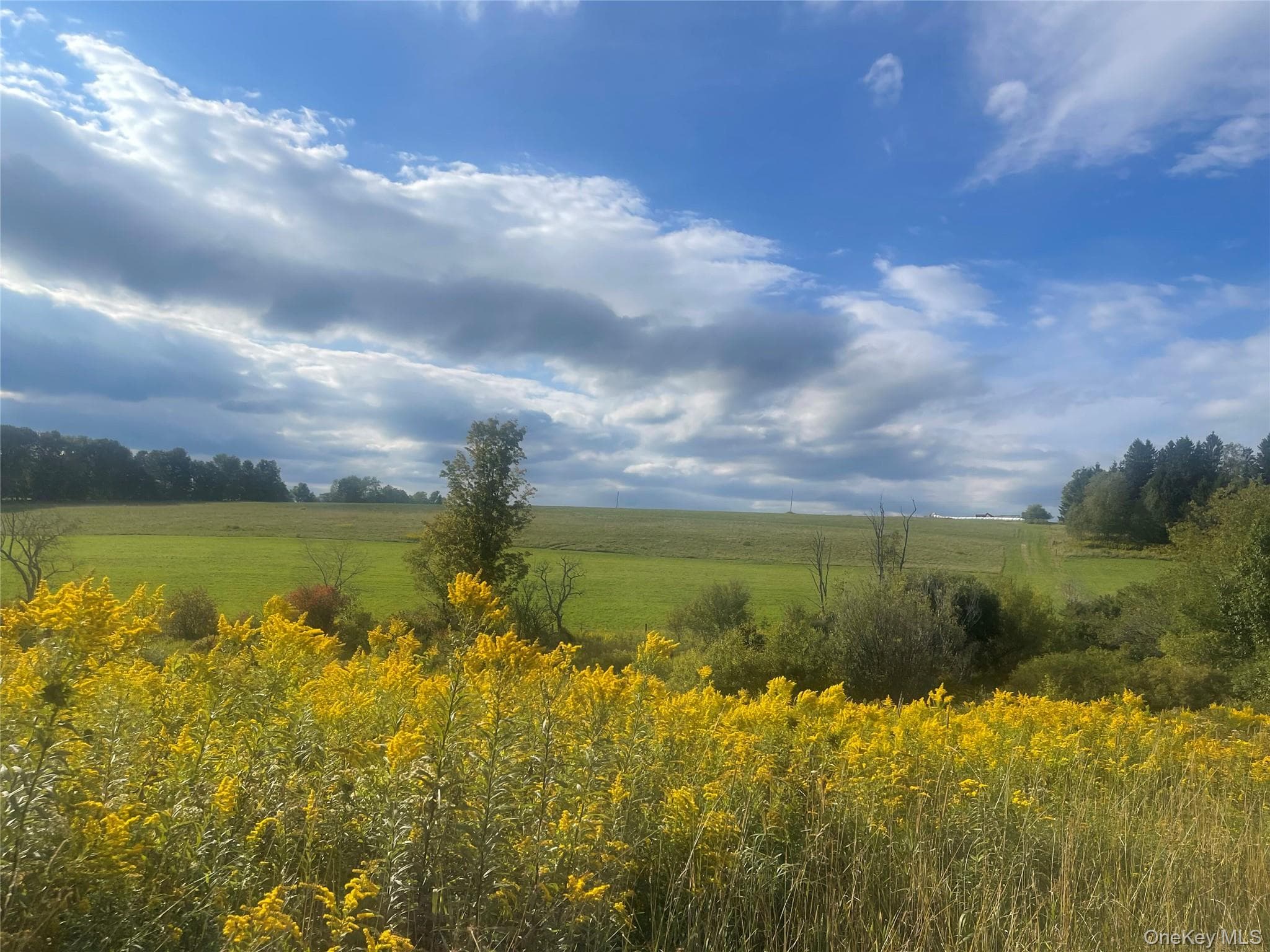2614 Turnpike Road thumbnail 49