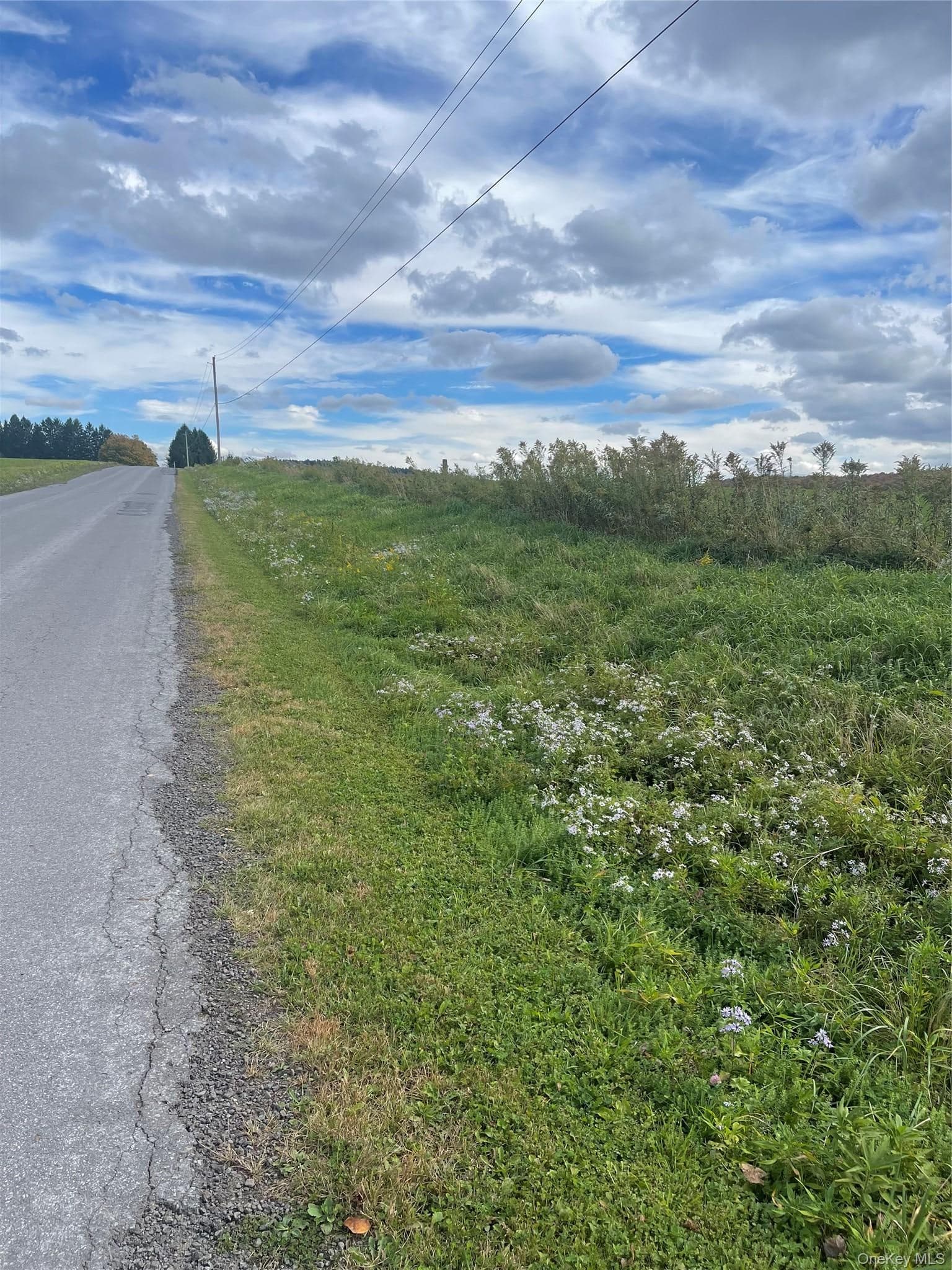 2614 Turnpike Road thumbnail 36