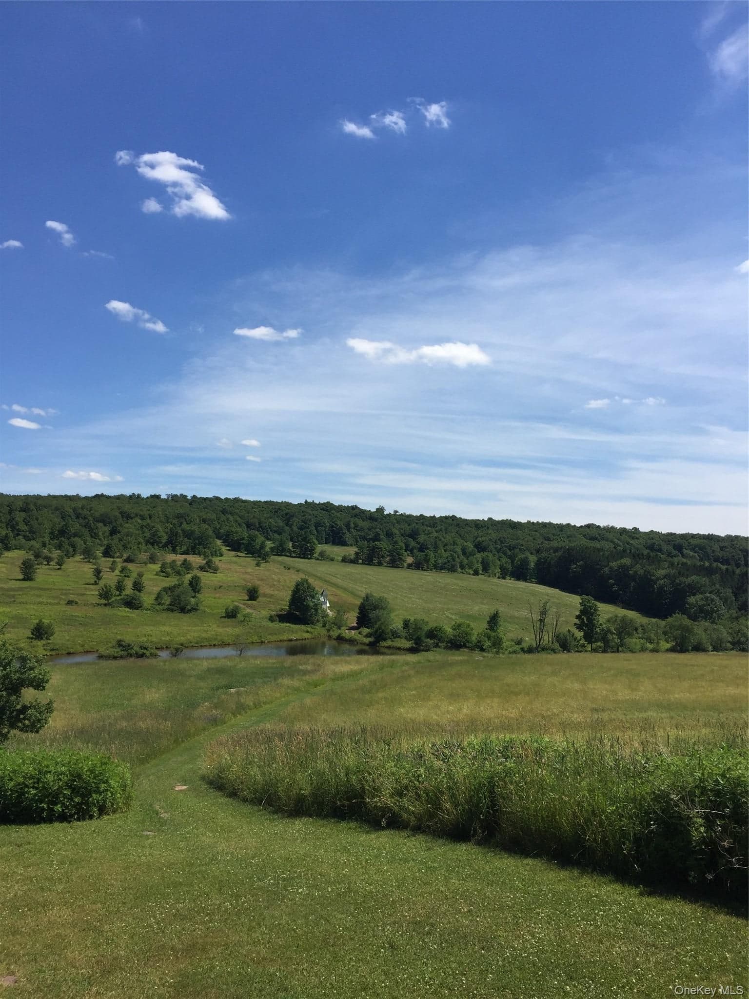 2614 Turnpike Road thumbnail 30