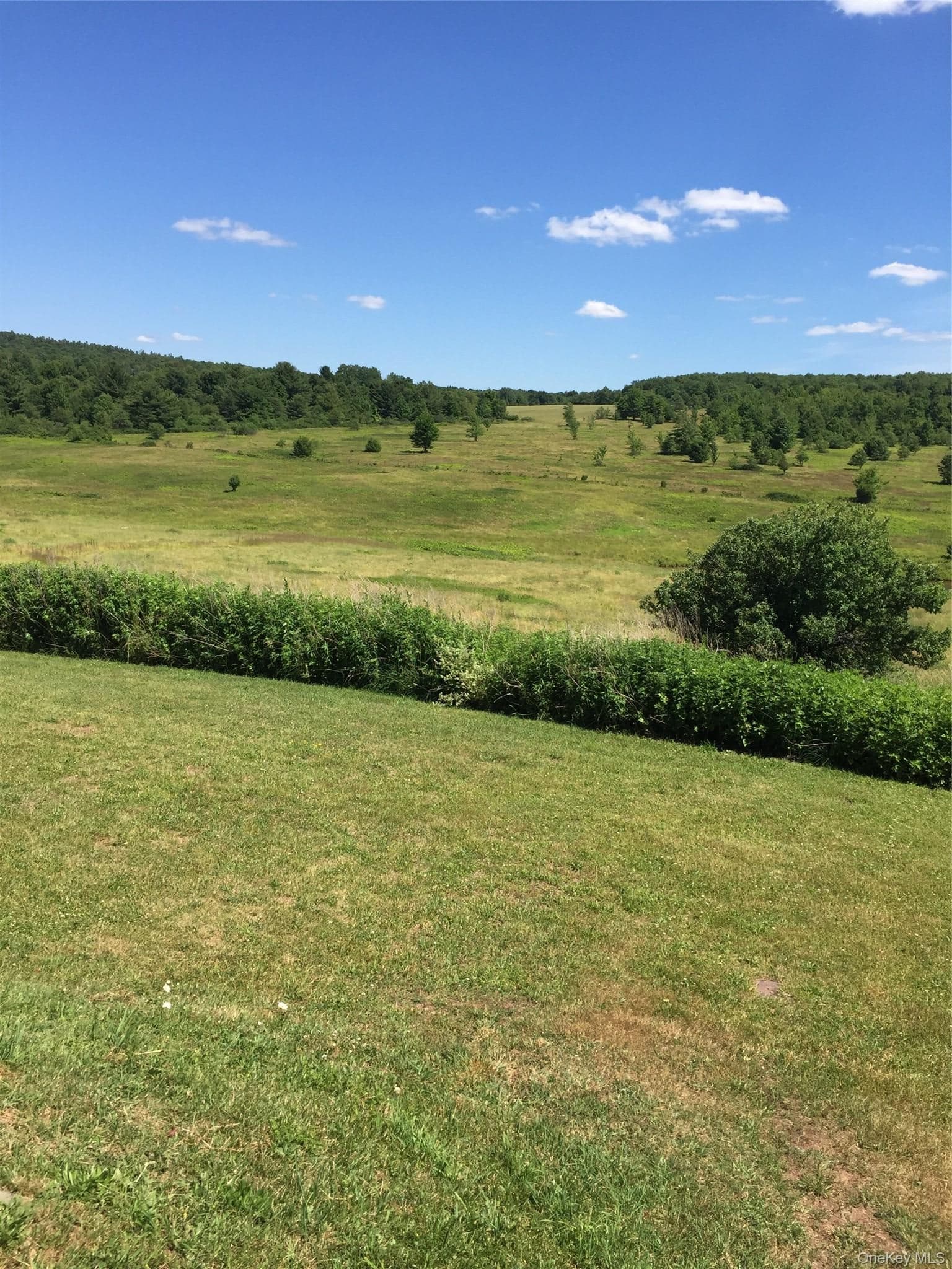 2614 Turnpike Road thumbnail 31