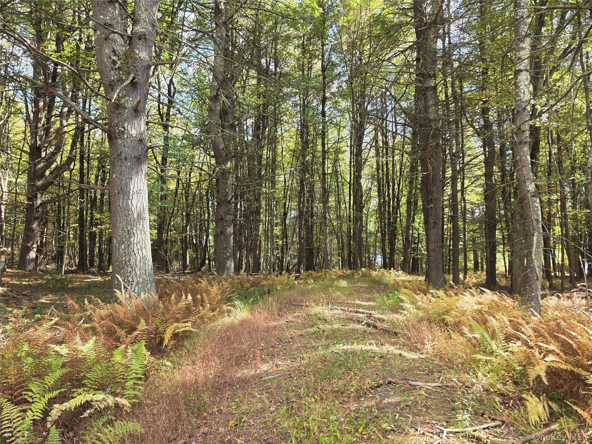 Lot 11 Deer Meadow Road thumbnail 21