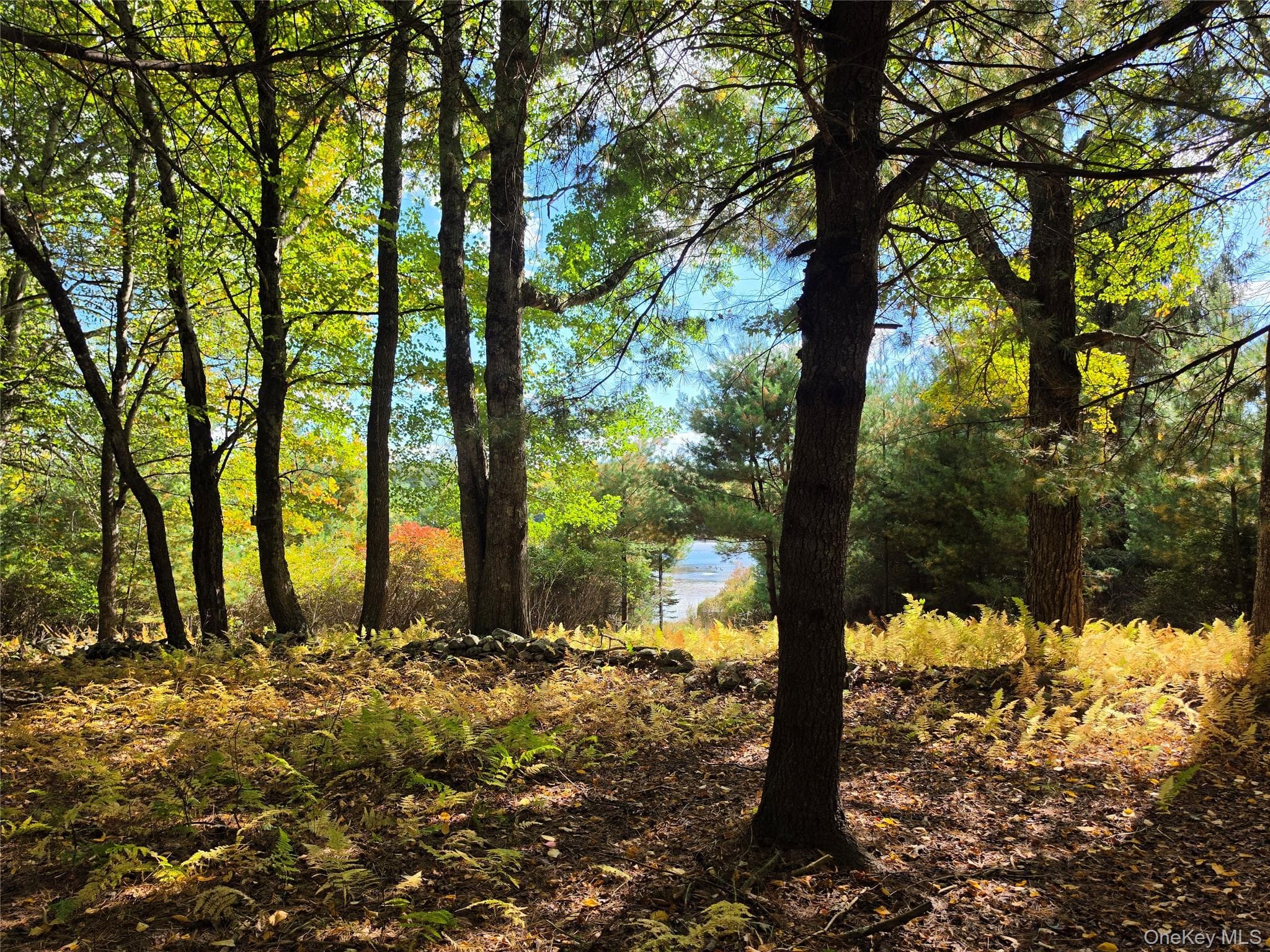 Lot 11 Deer Meadow Road thumbnail 31