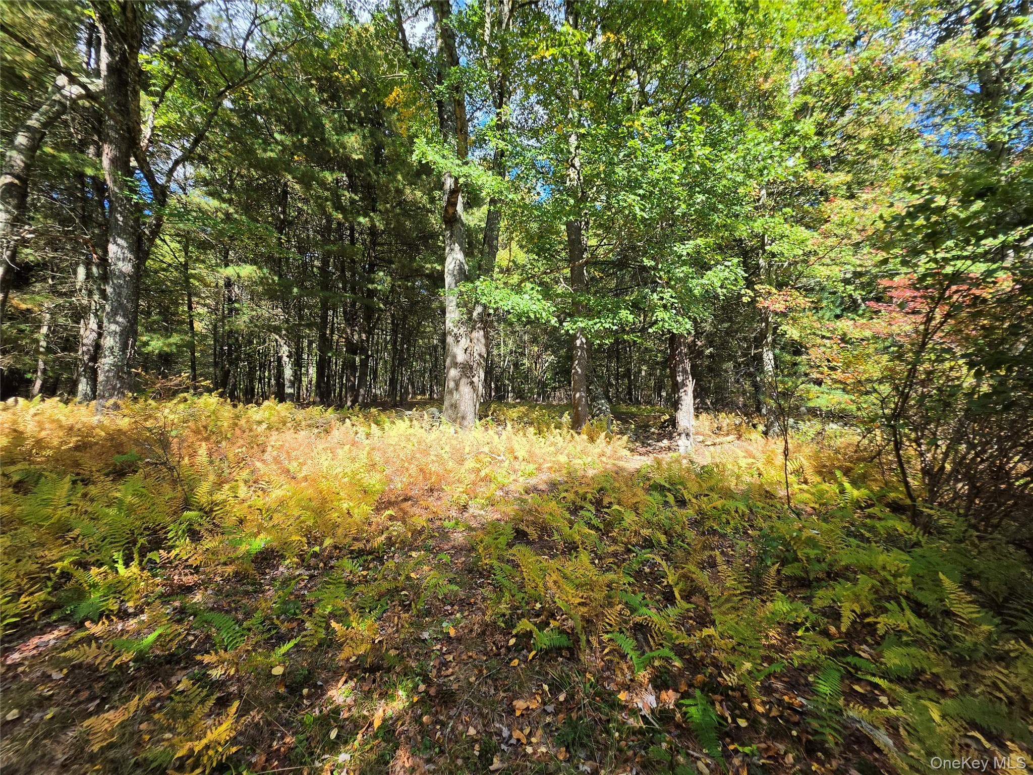 Lot 11 Deer Meadow Road thumbnail 26