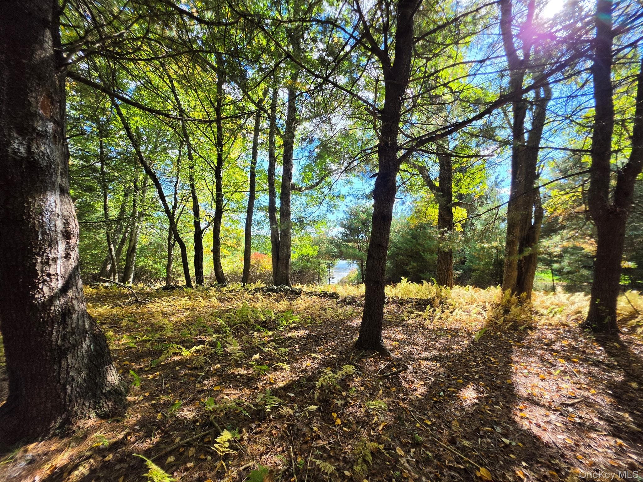 Lot 11 Deer Meadow Road thumbnail 30