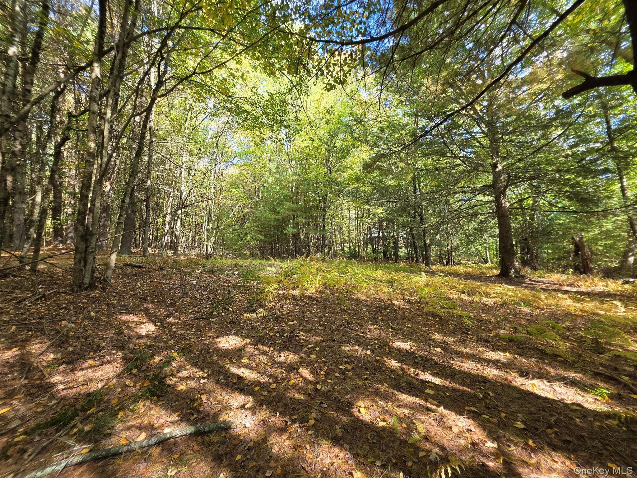 Lot 11 Deer Meadow Road thumbnail 33