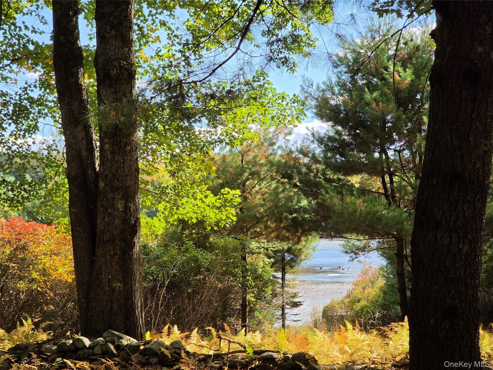 Lot 11 Deer Meadow Road thumbnail 32