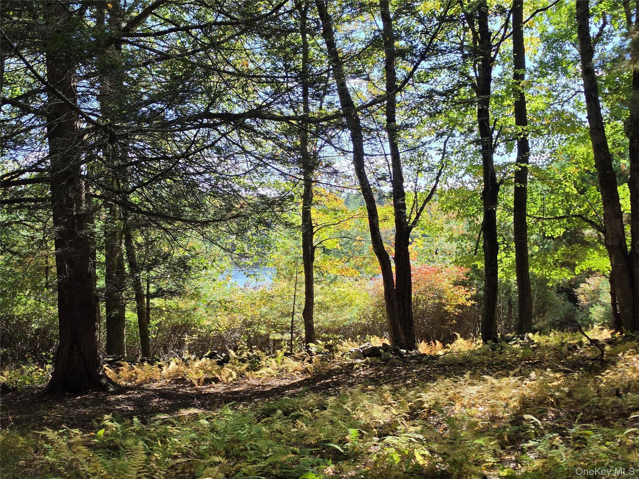 Lot 11 Deer Meadow Road thumbnail 24