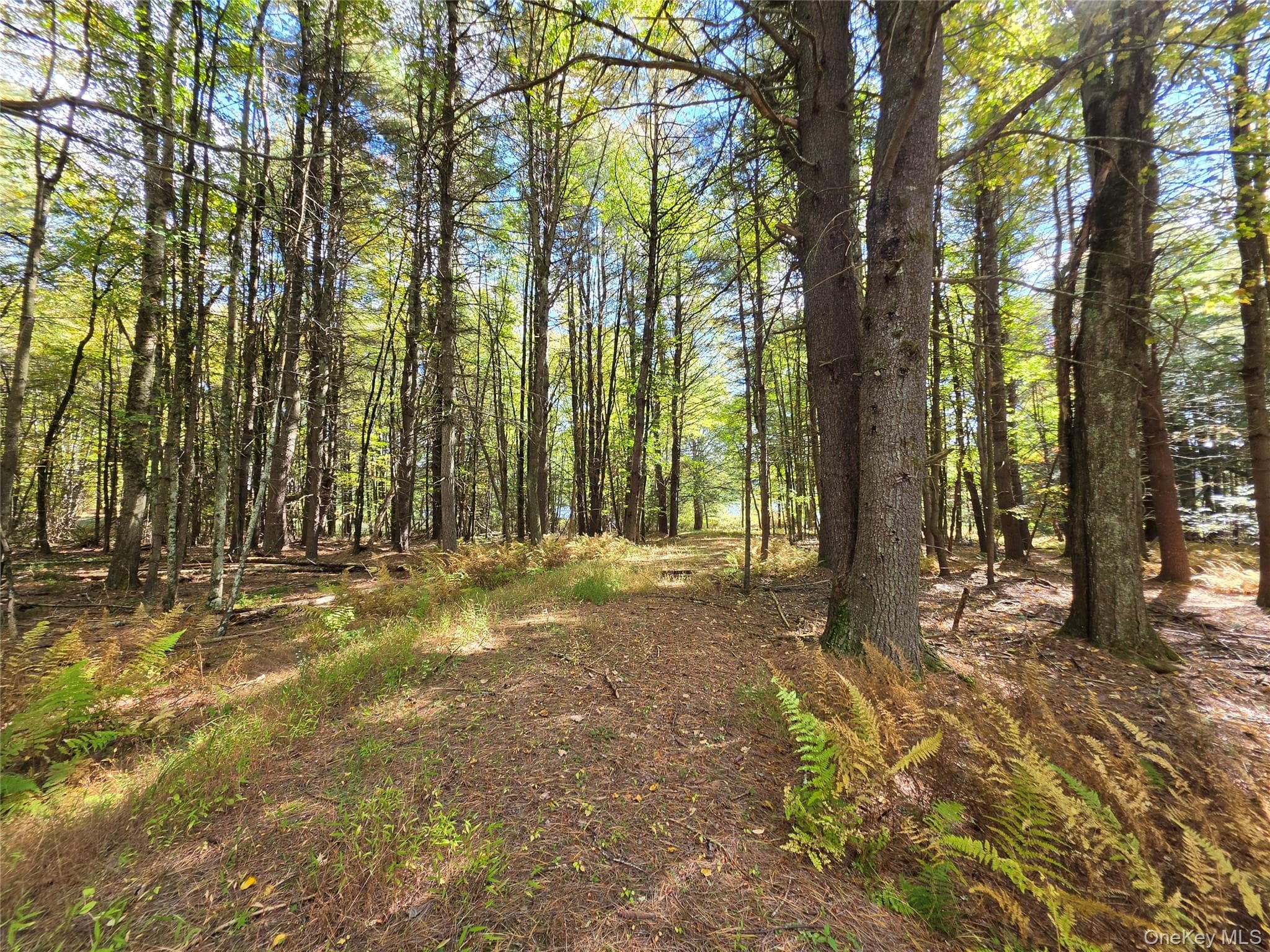 Lot 11 Deer Meadow Road thumbnail 10