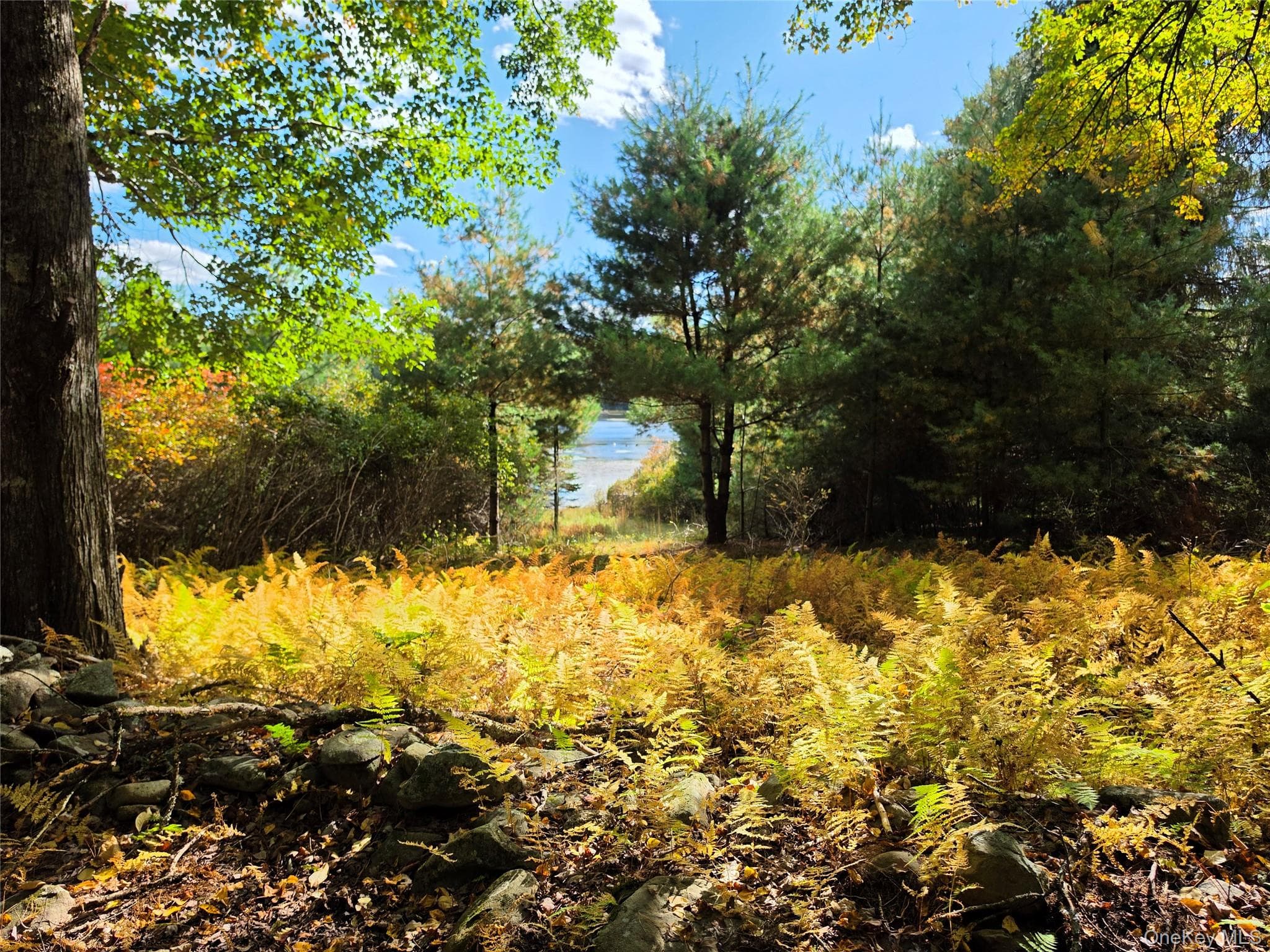 Lot 11 Deer Meadow Road thumbnail 28