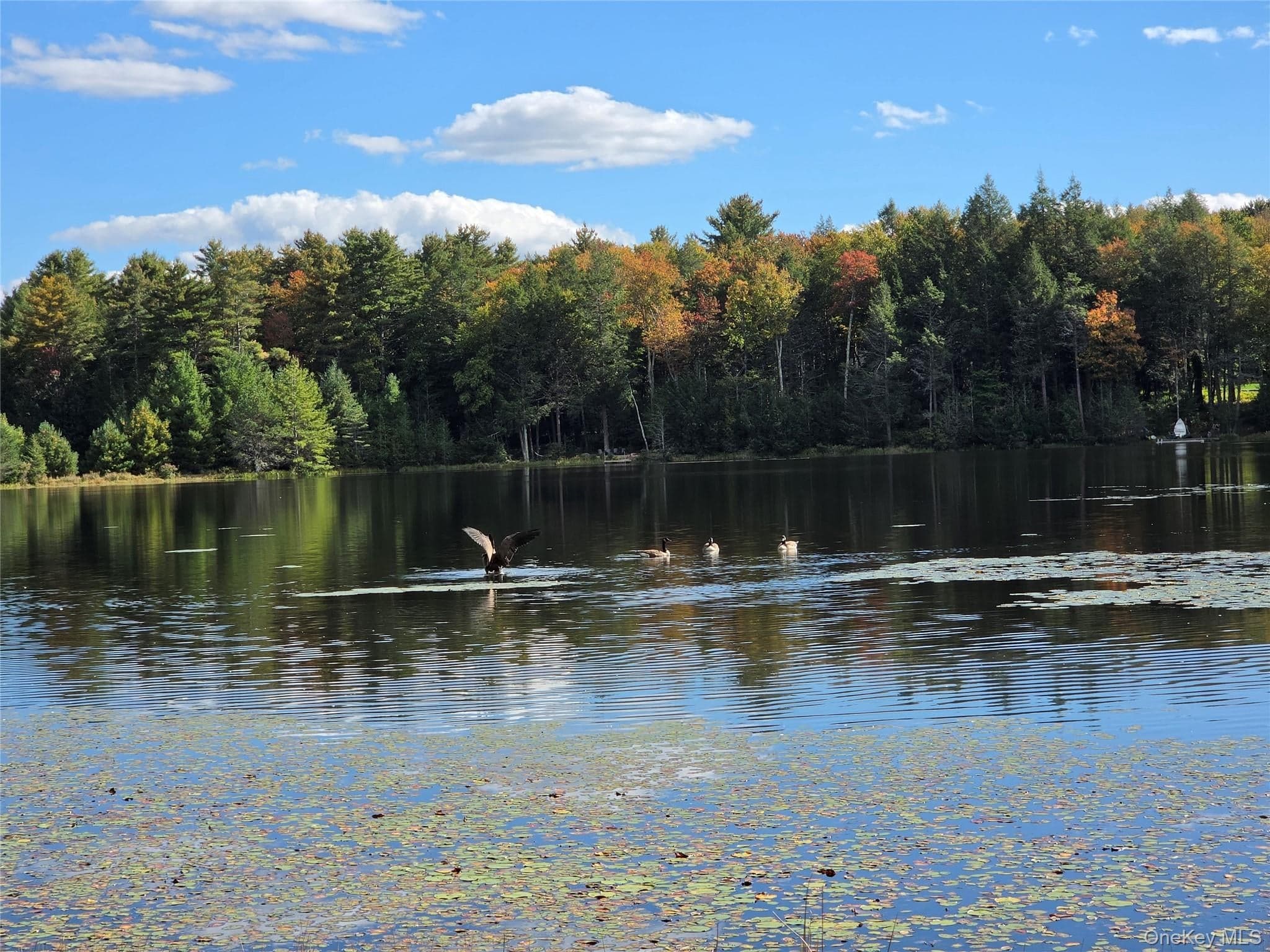 Lot 11 Deer Meadow Road thumbnail 27