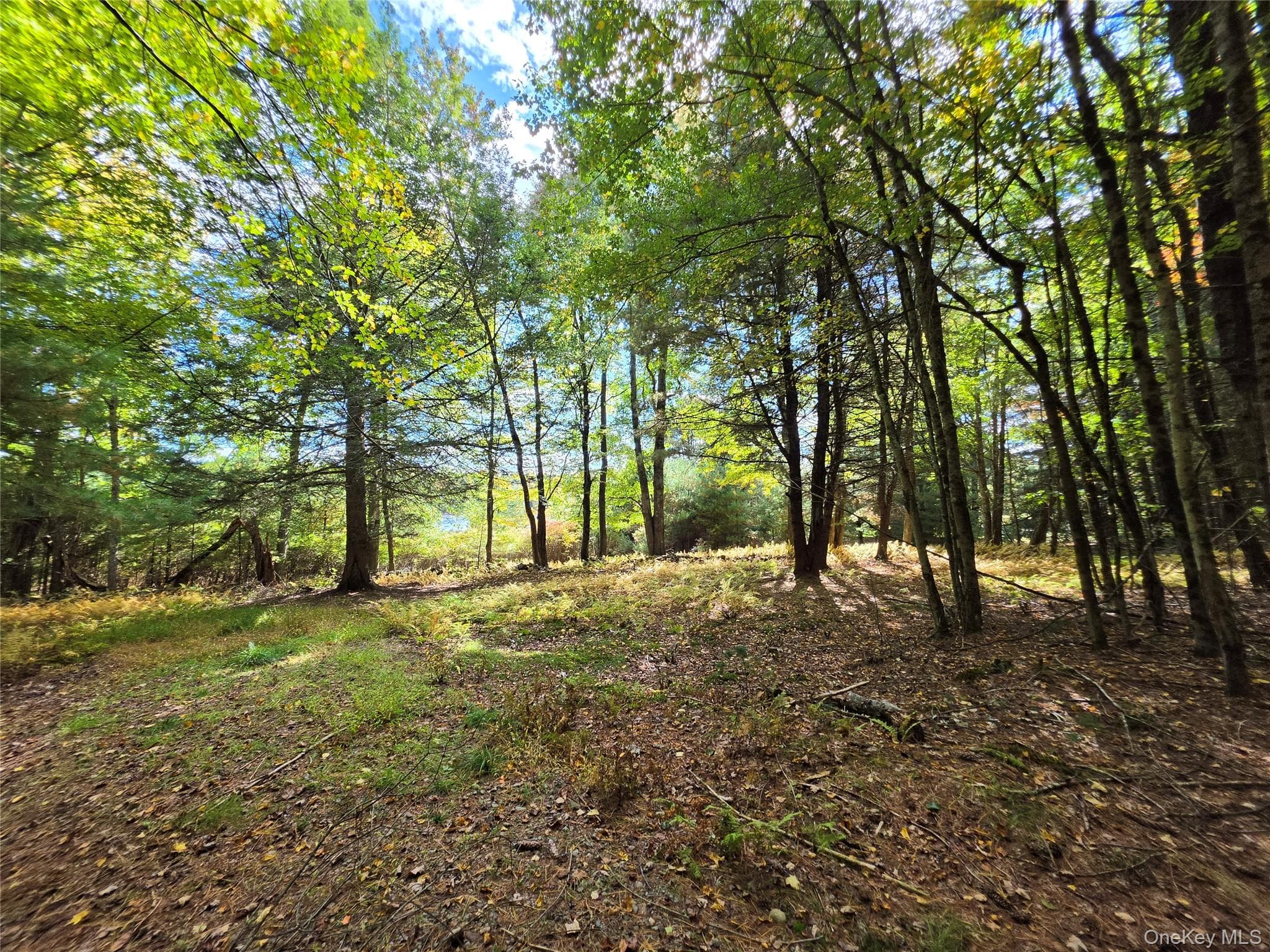Lot 11 Deer Meadow Road thumbnail 35