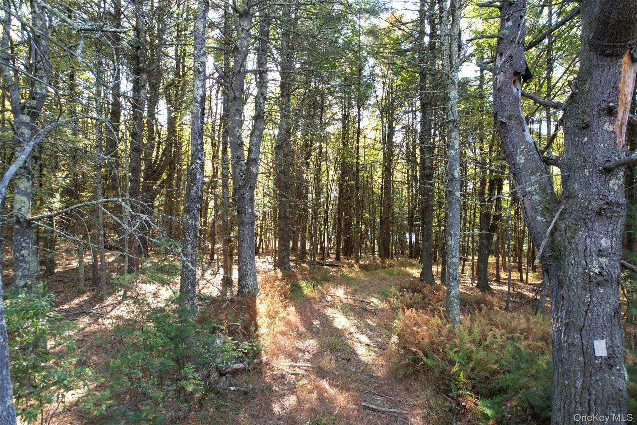 Lot 11 Deer Meadow Road thumbnail 16