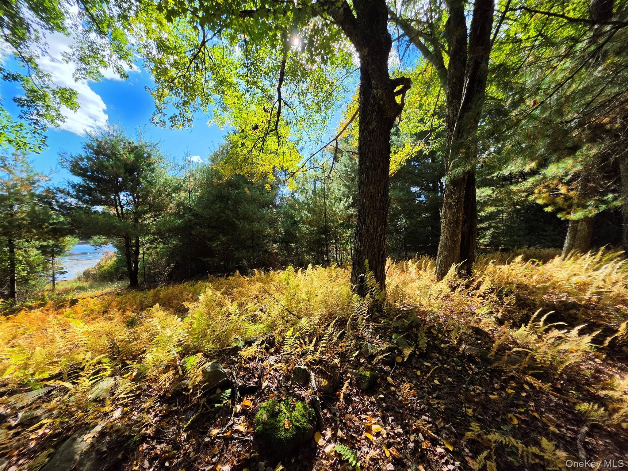 Lot 11 Deer Meadow Road thumbnail 29