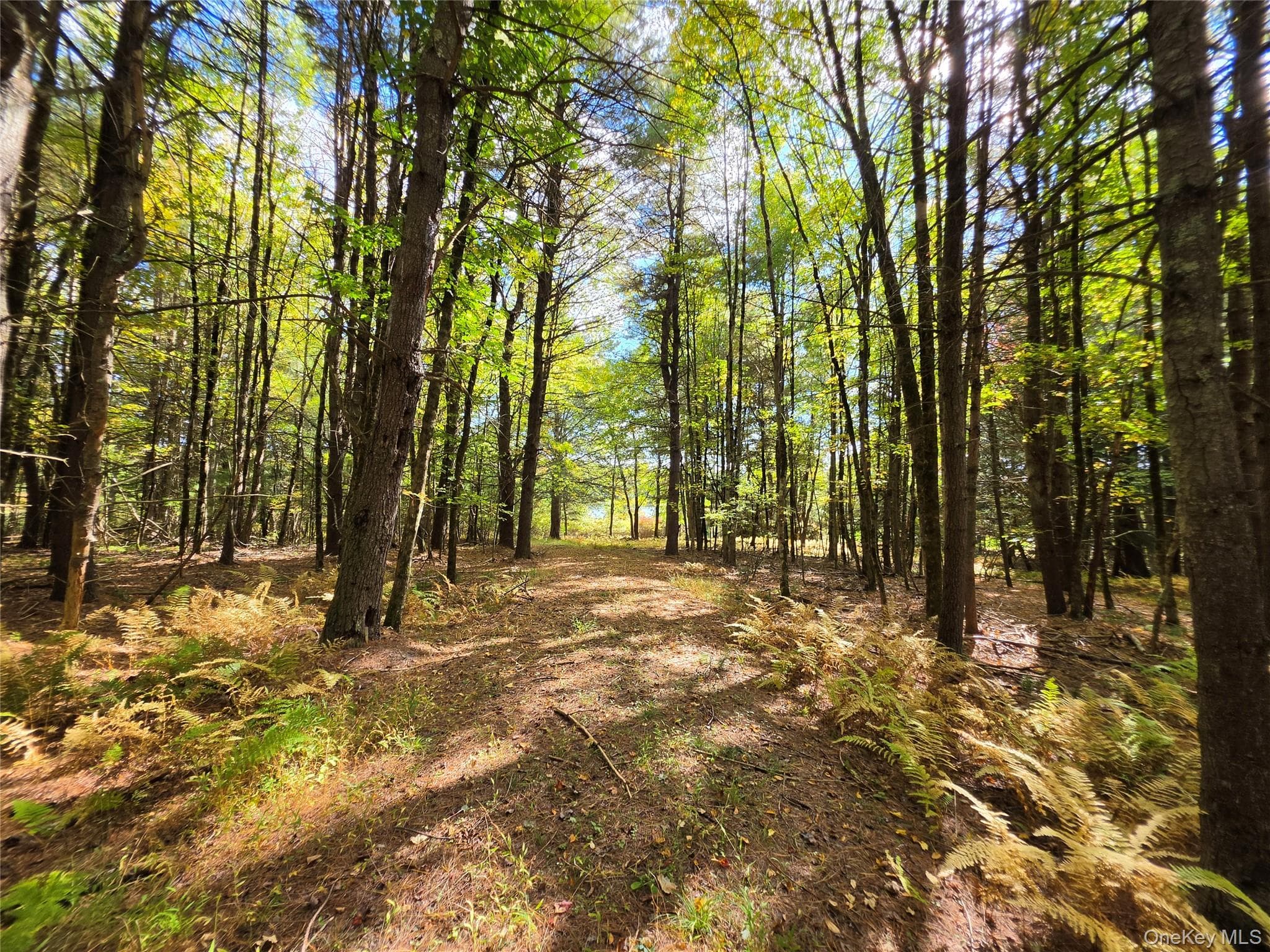 Lot 11 Deer Meadow Road thumbnail 36