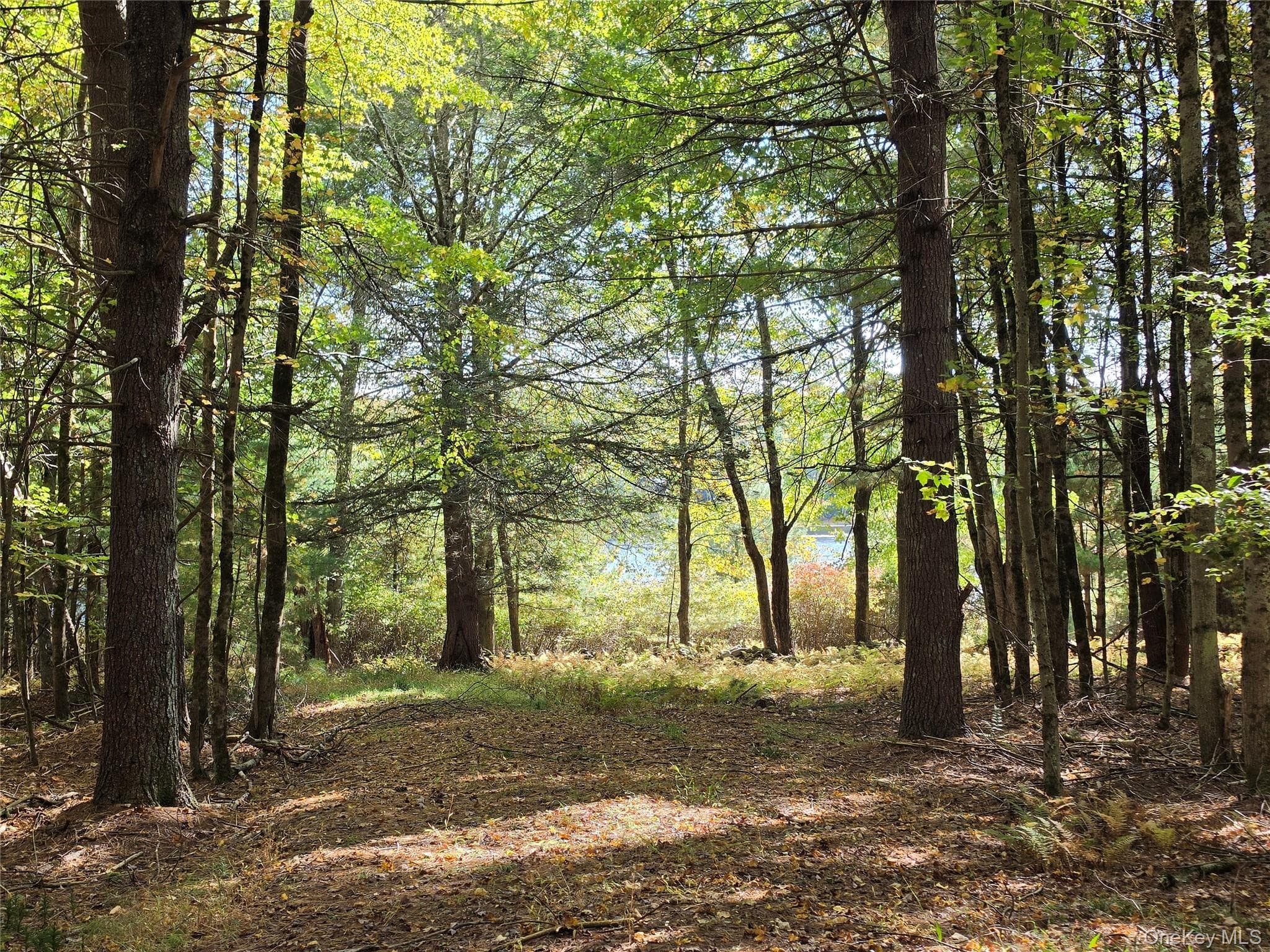 Lot 11 Deer Meadow Road thumbnail 23