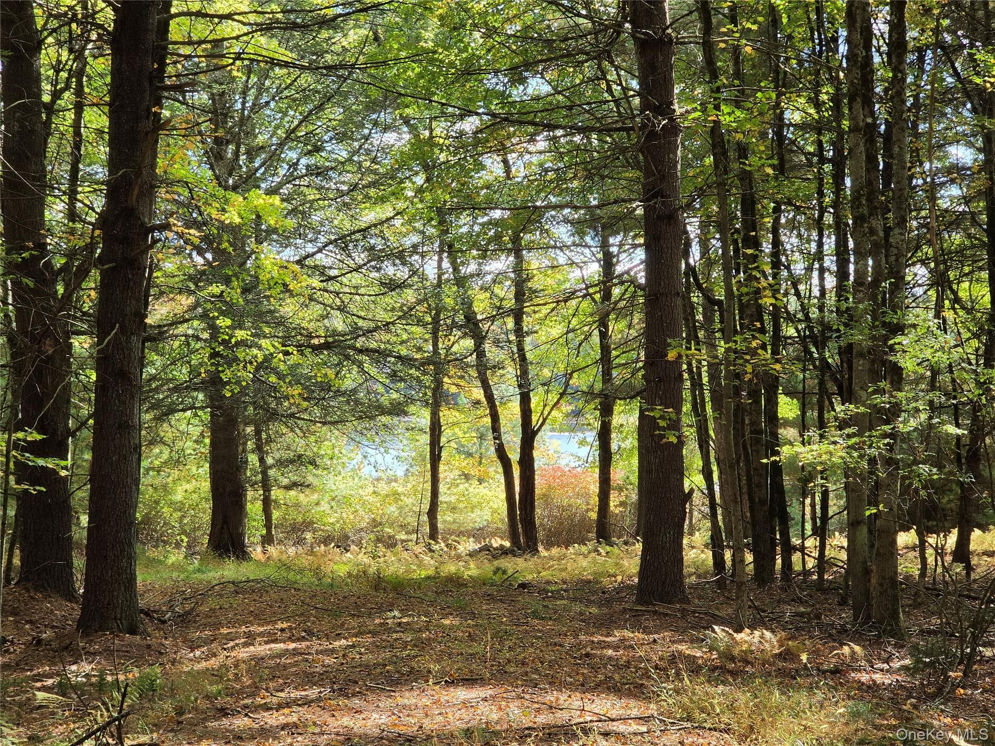 Lot 11 Deer Meadow Road thumbnail 37