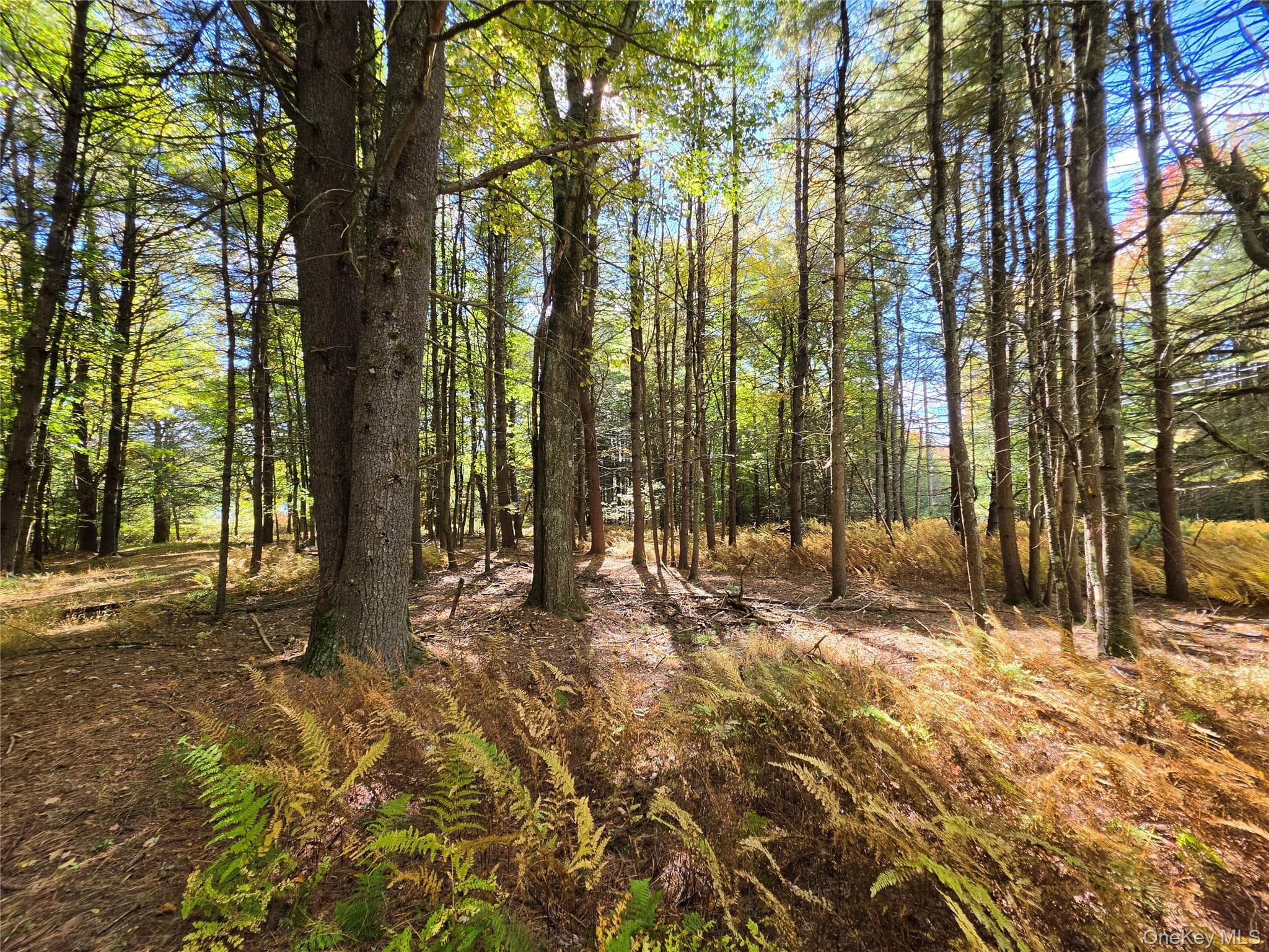 Lot 11 Deer Meadow Road thumbnail 22