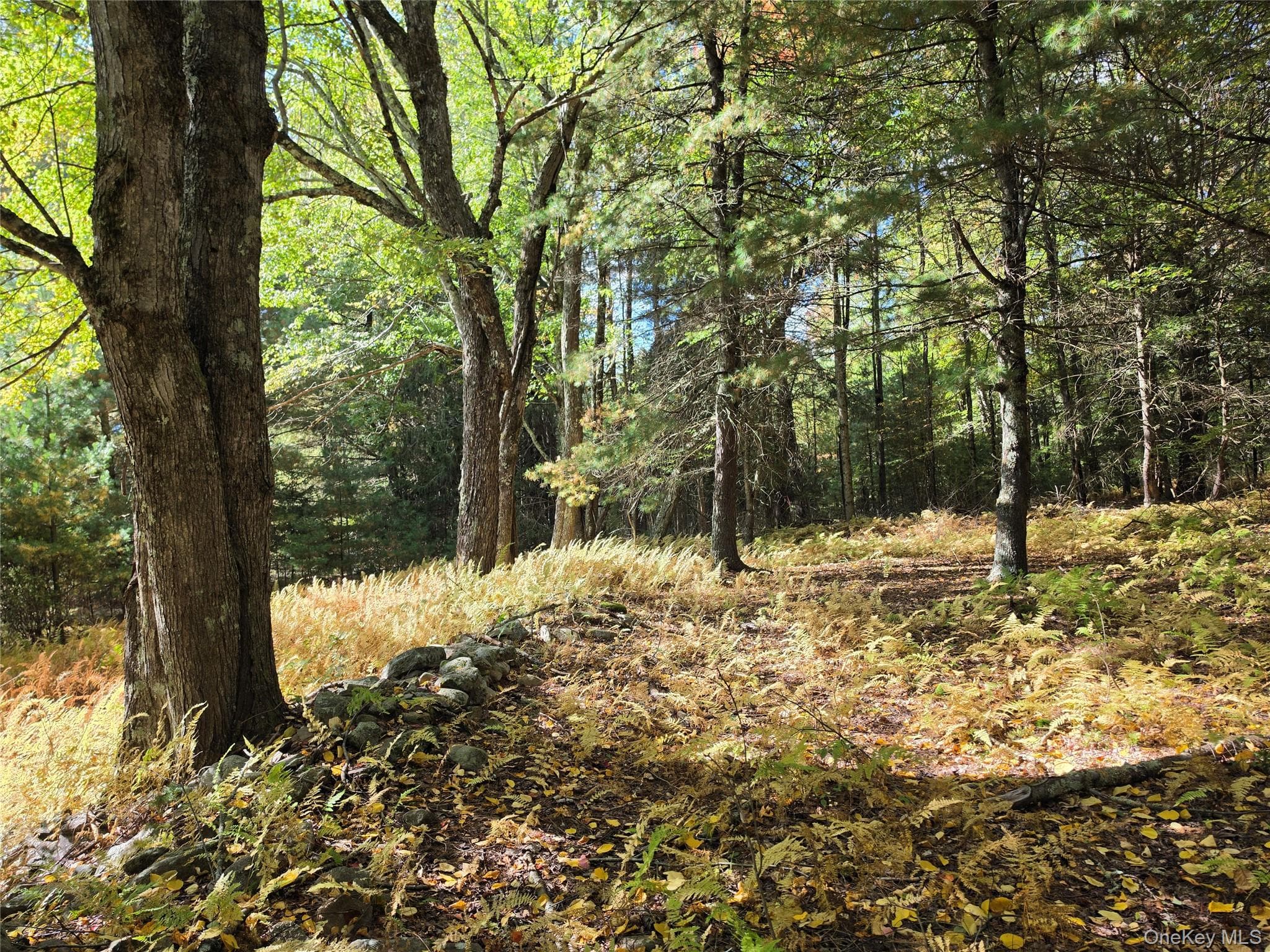 Lot 11 Deer Meadow Road thumbnail 17
