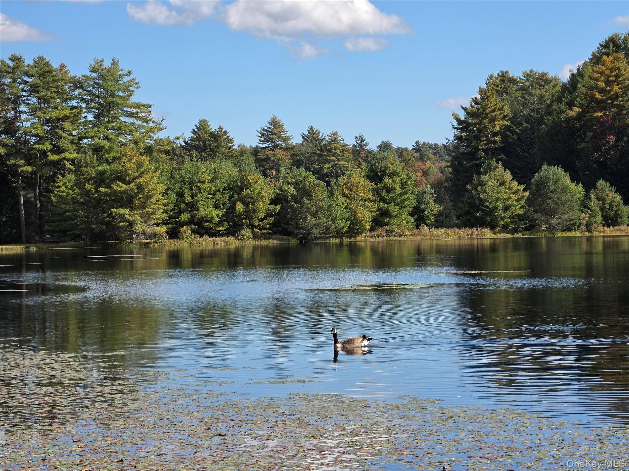 Lot 11 Deer Meadow Road, White Lake