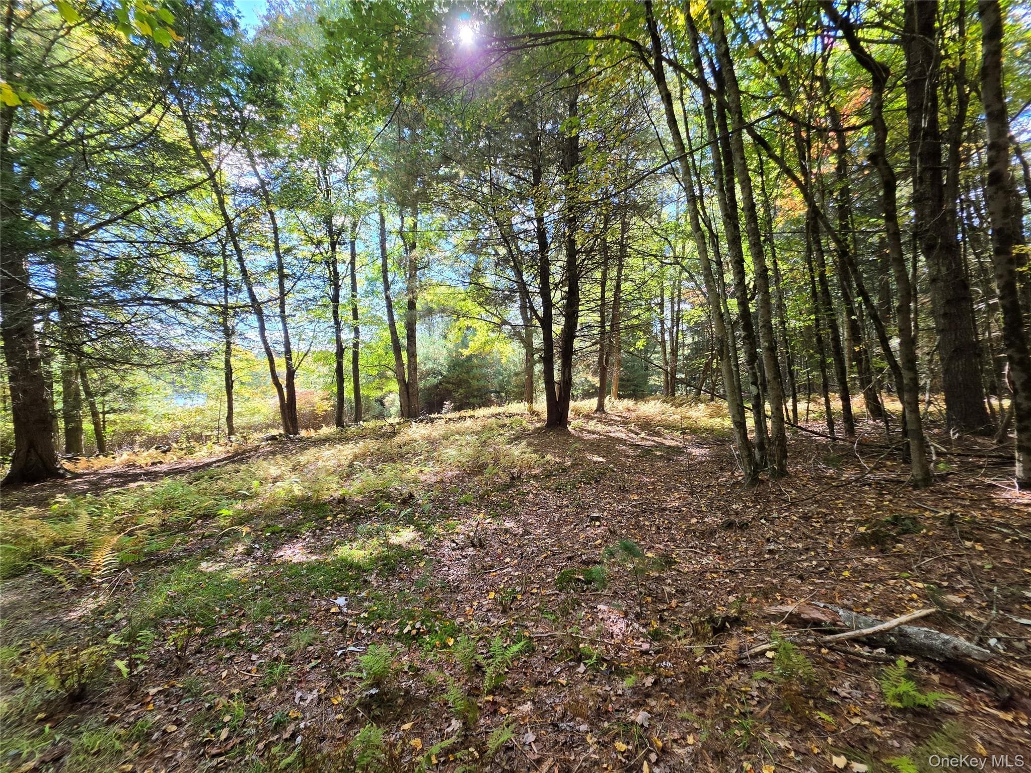 Lot 11 Deer Meadow Road thumbnail 25