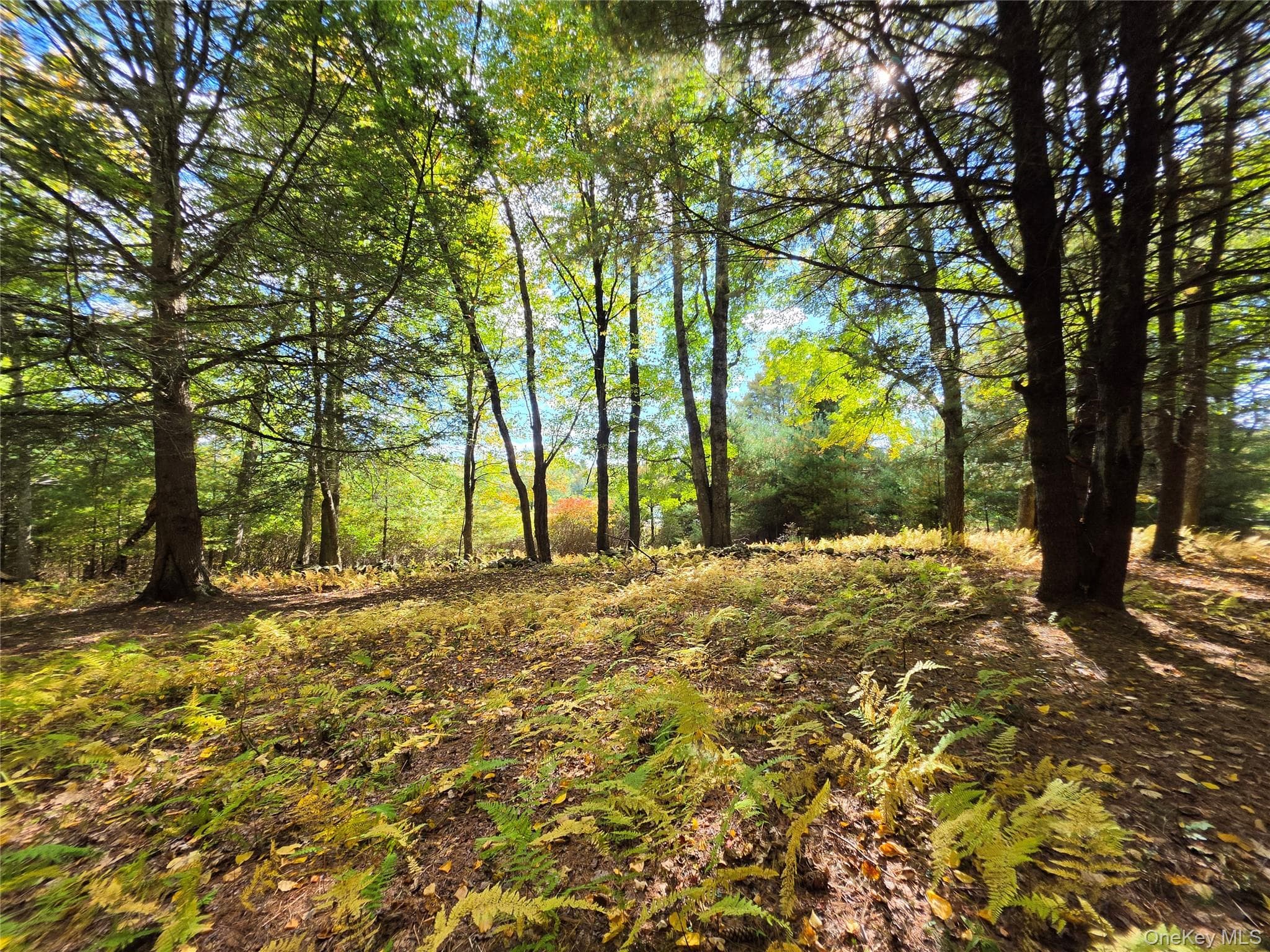 Lot 11 Deer Meadow Road thumbnail 34