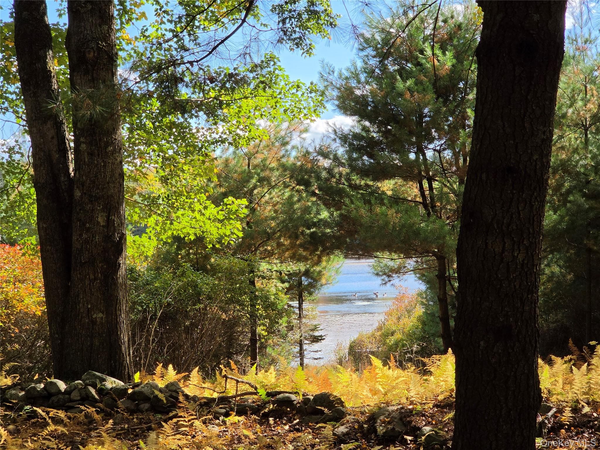 Lot 11 Deer Meadow Road thumbnail 6