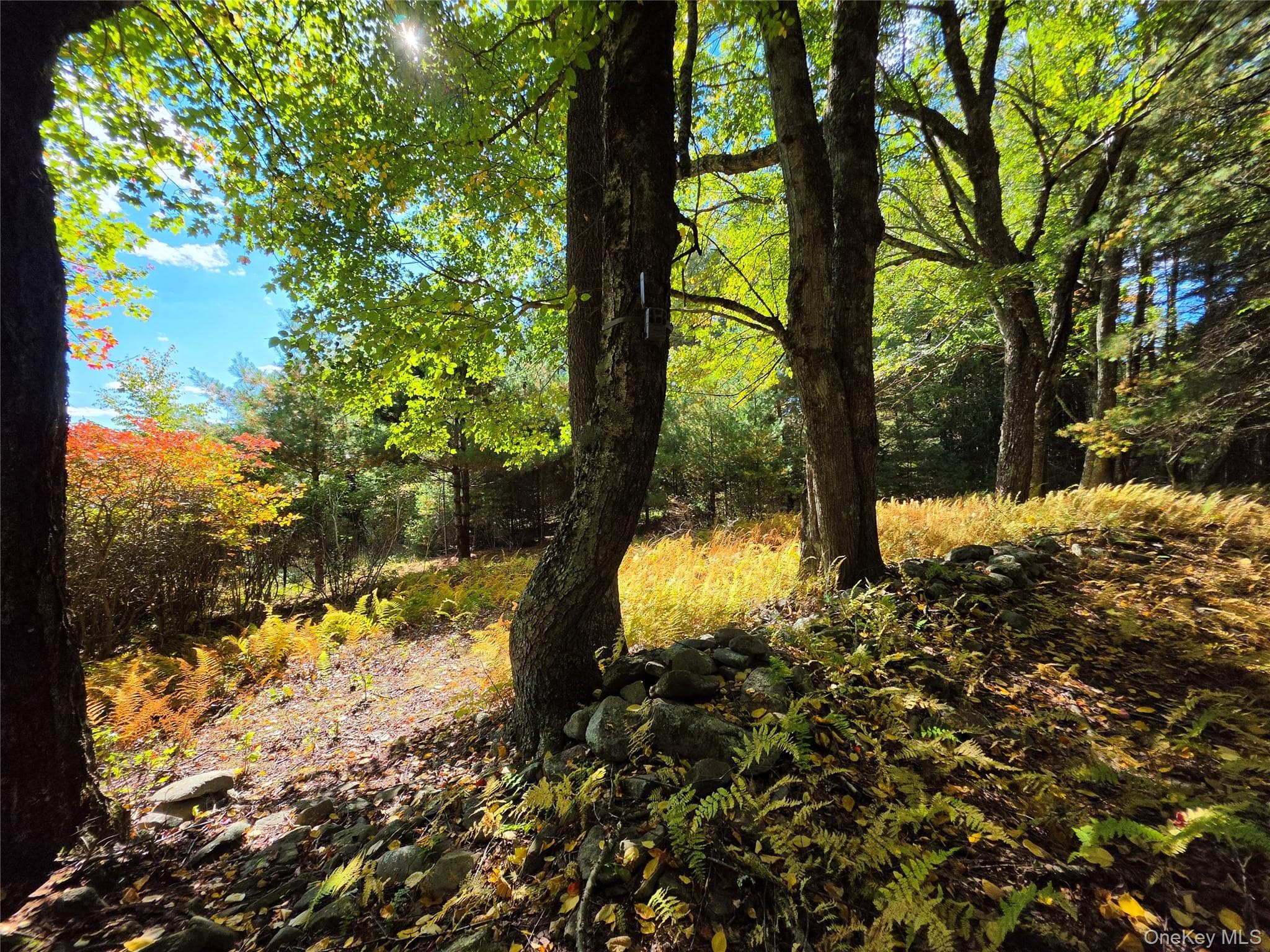 Lot 11 Deer Meadow Road thumbnail 15